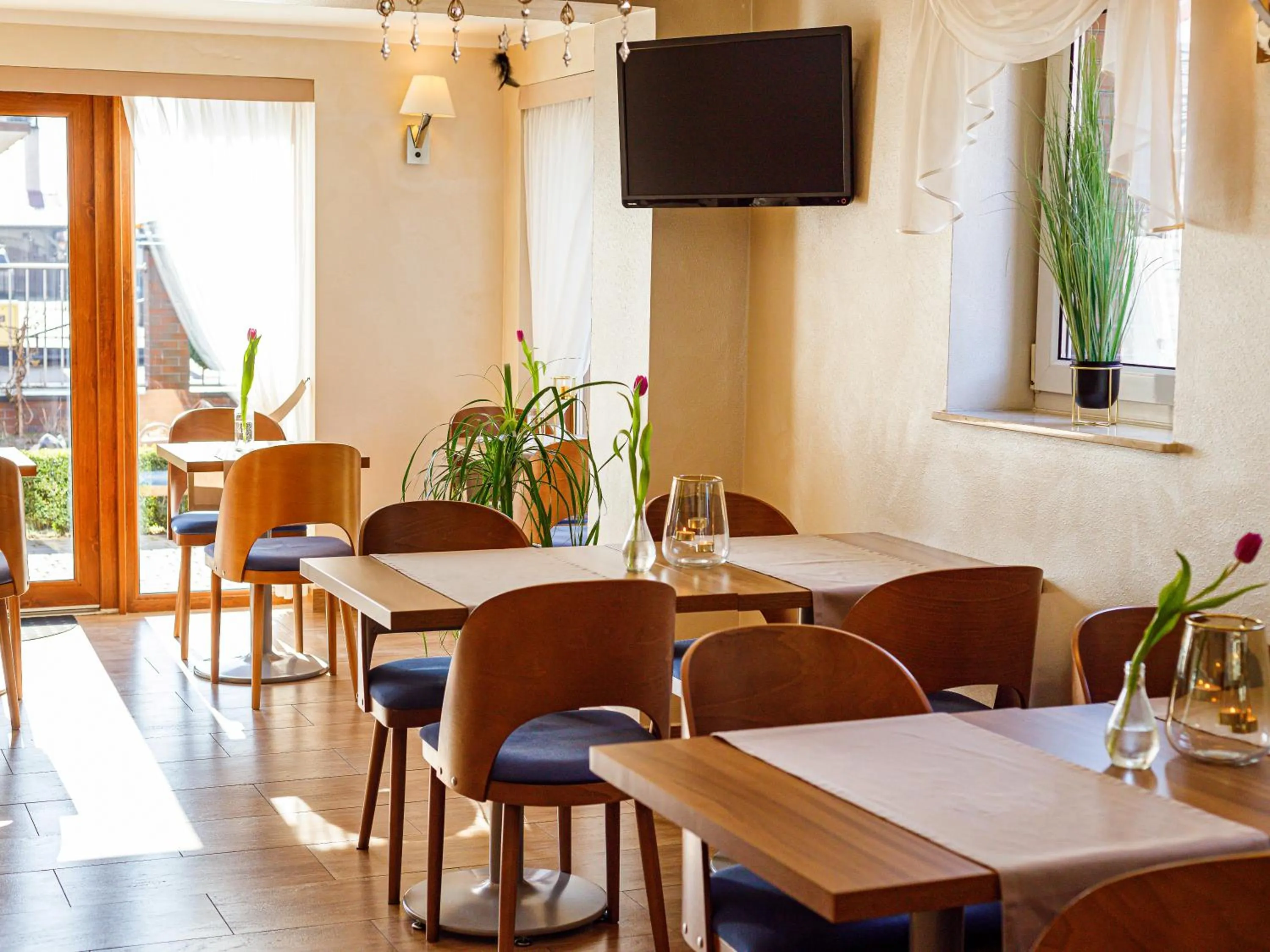 TV and multimedia in Willa Arkadia