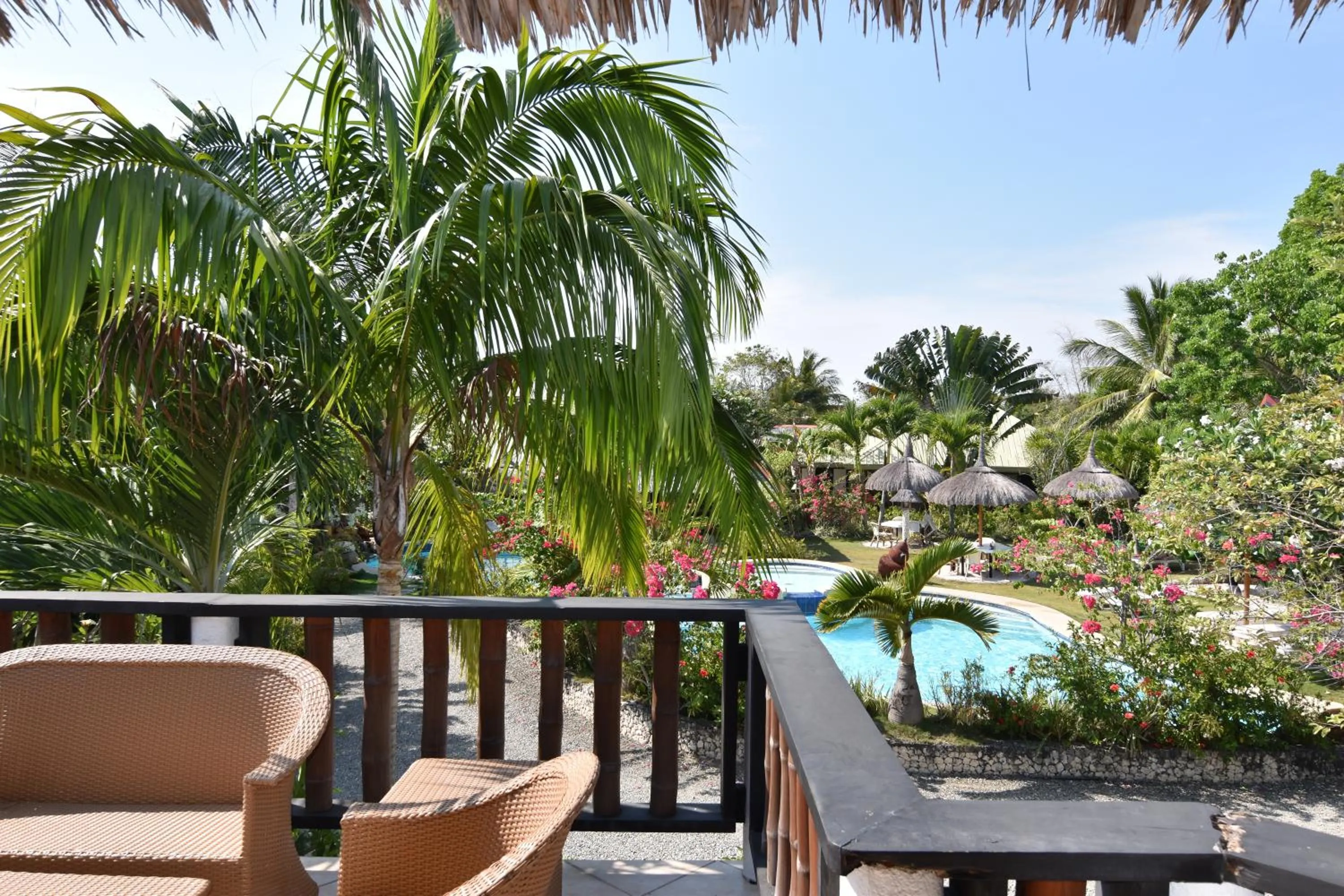 View (from property/room) in Dolphin House Resort Moalboal