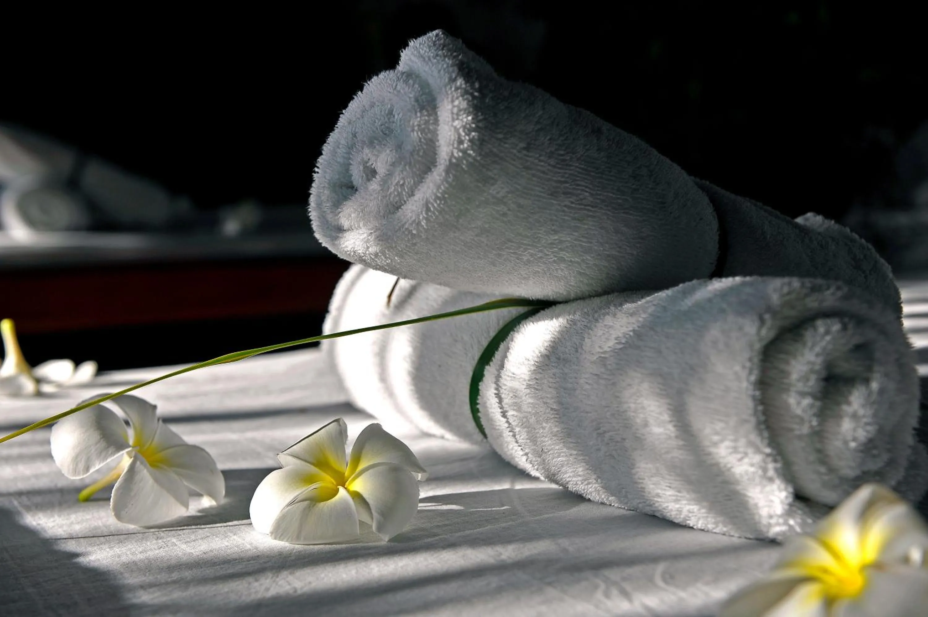 Spa and wellness centre/facilities in Dolphin House Resort Moalboal