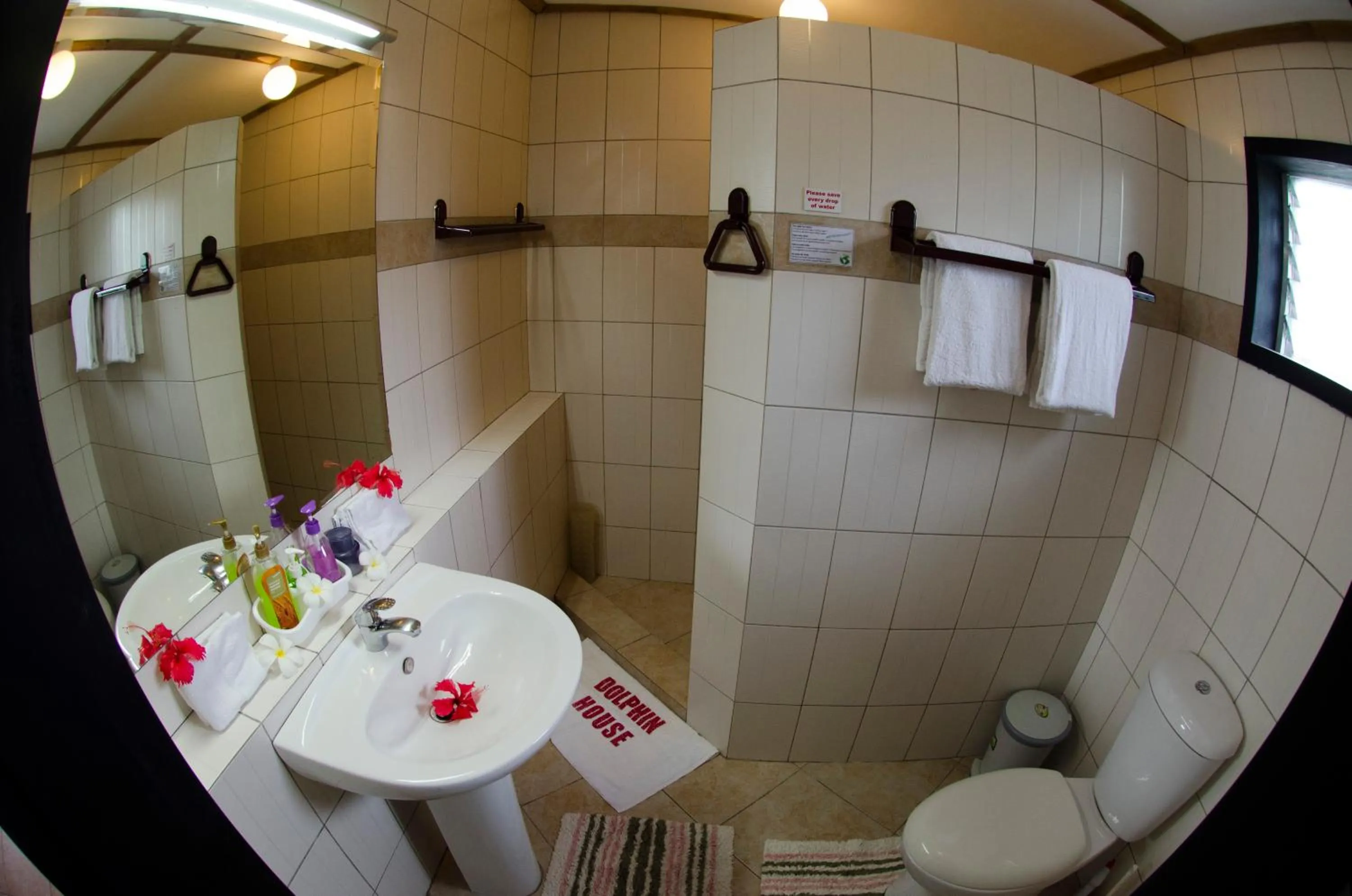 Toilet in Dolphin House Resort Moalboal
