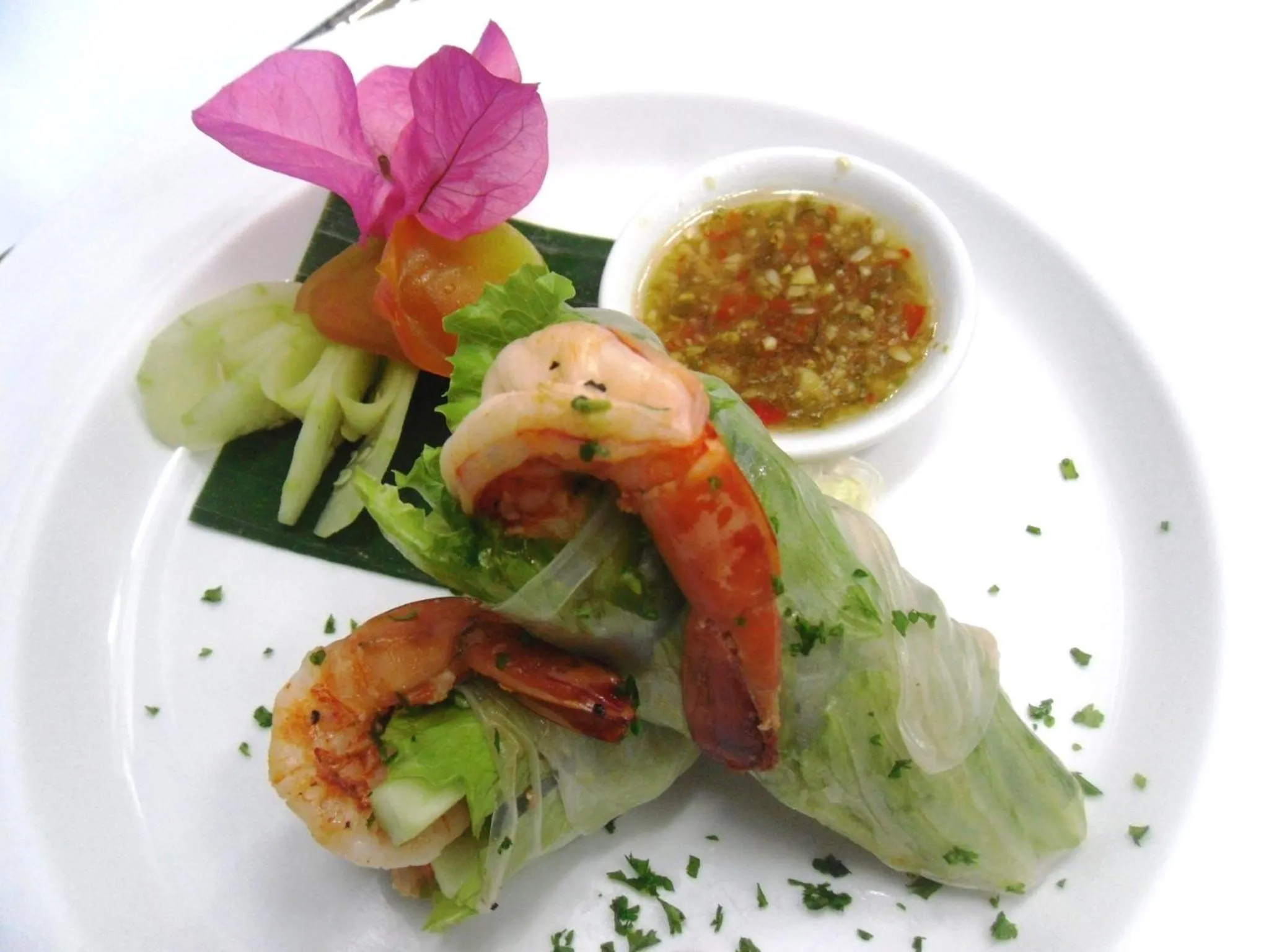 Food and drinks in Dolphin House Resort Moalboal