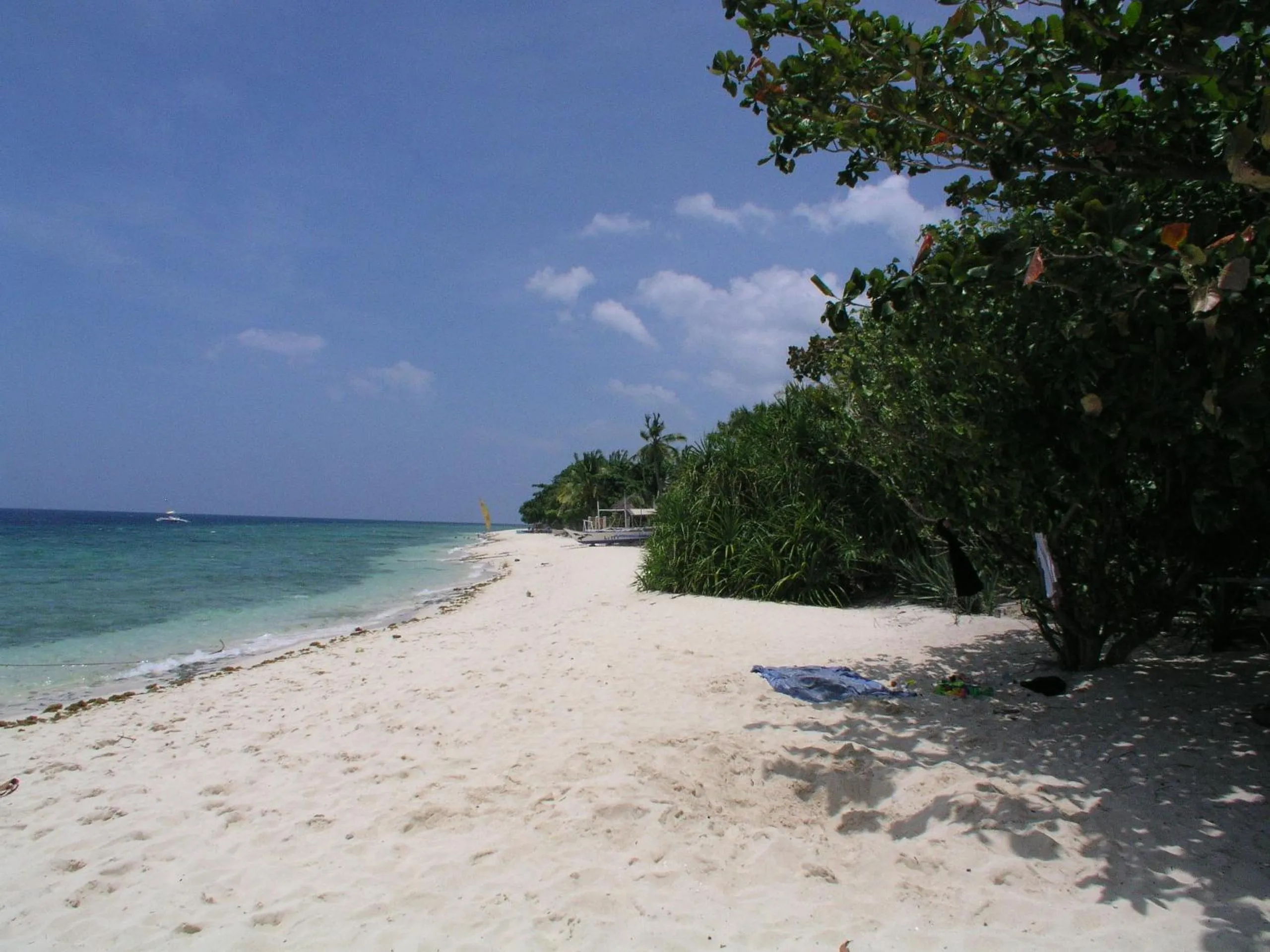 Living room in Dolphin House Resort Moalboal
