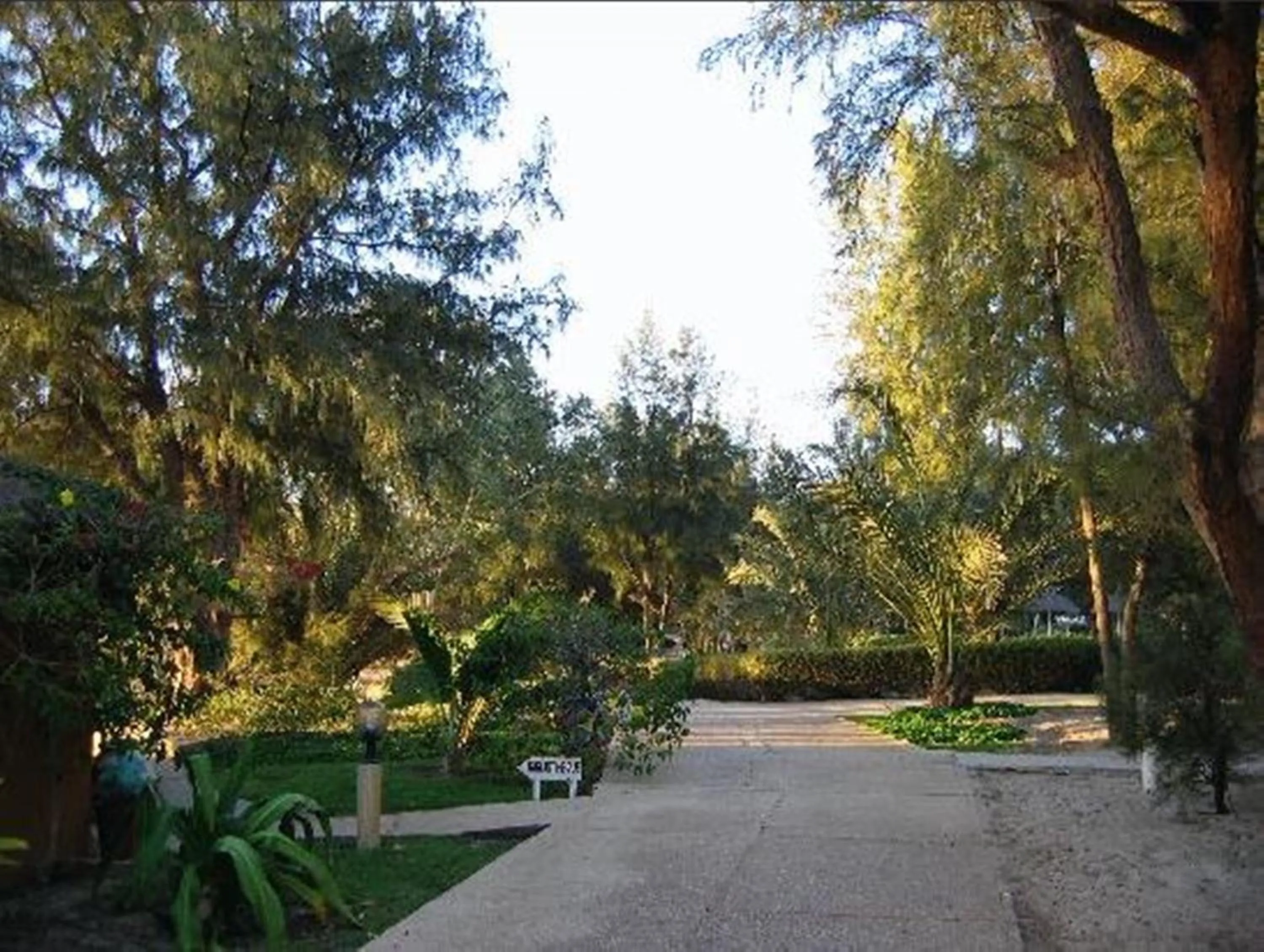 Garden in Diamarek Hotel Sur La Plage