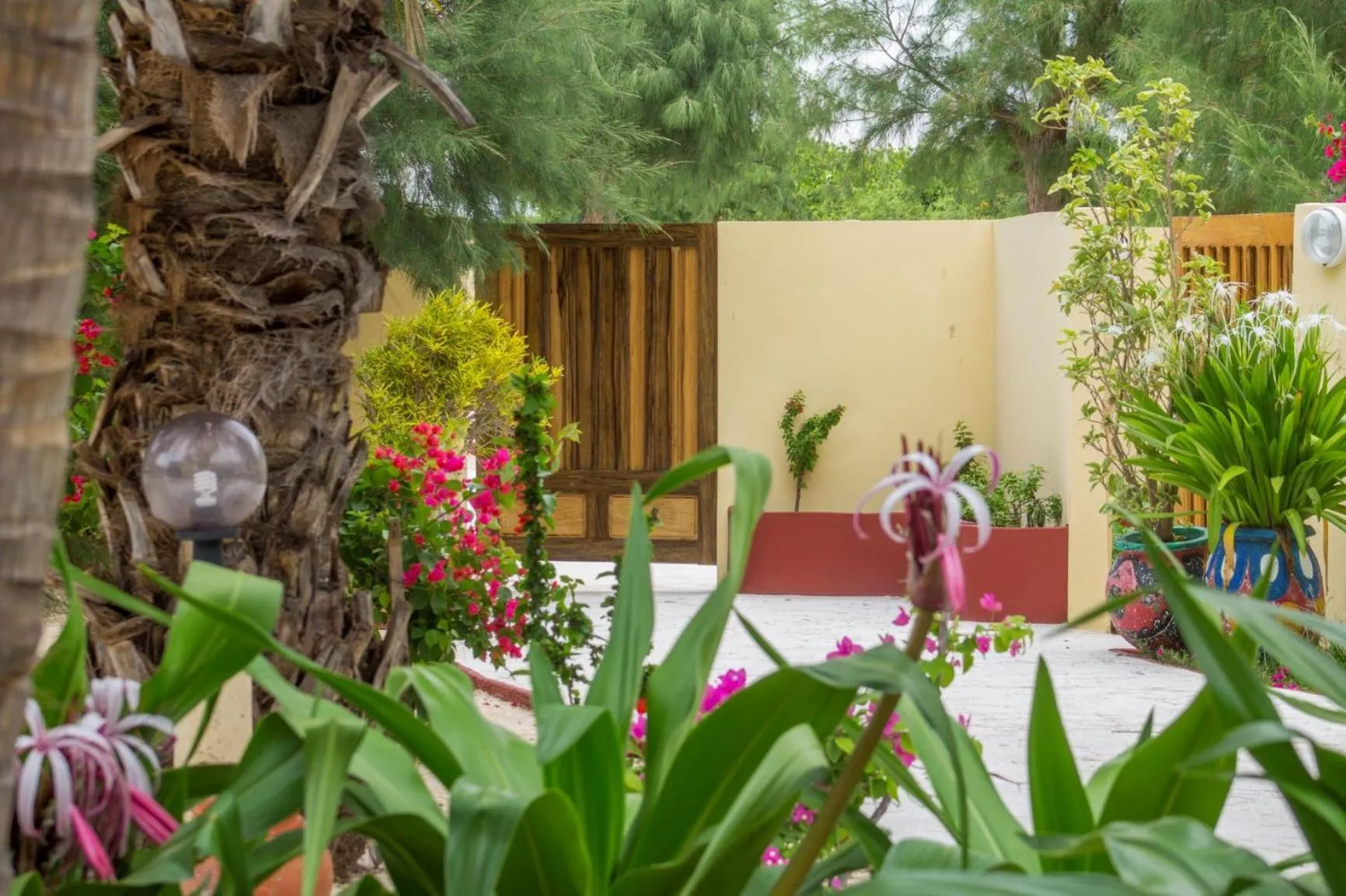 Garden in Diamarek Hotel Sur La Plage