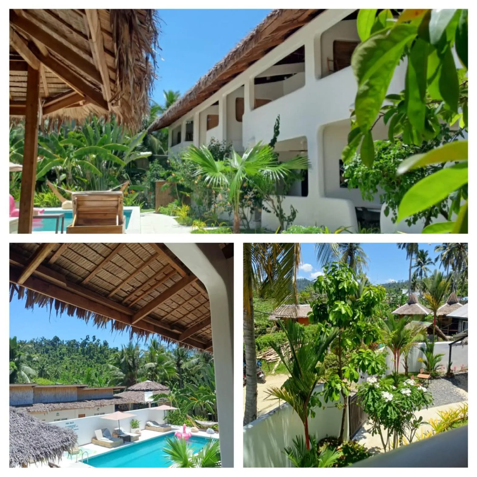 Property building in Parrots Boutique Resort