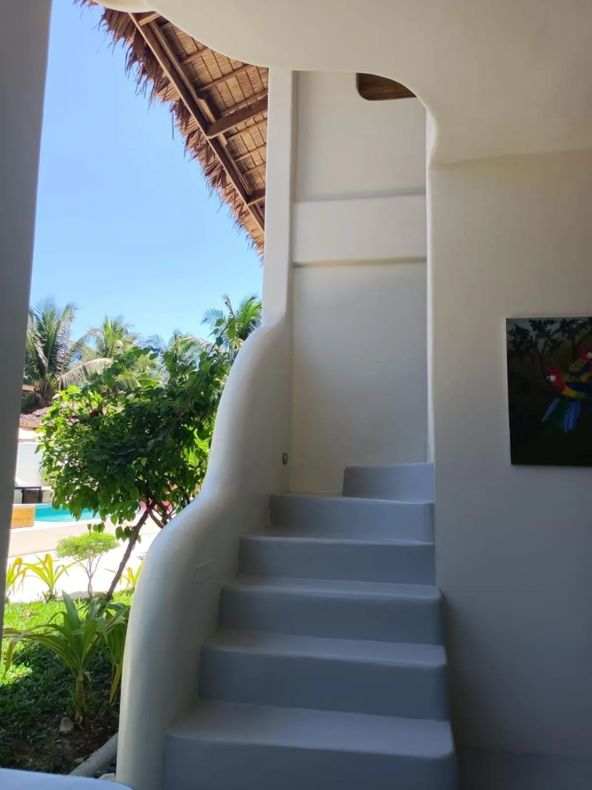 Property building in Parrots Boutique Resort