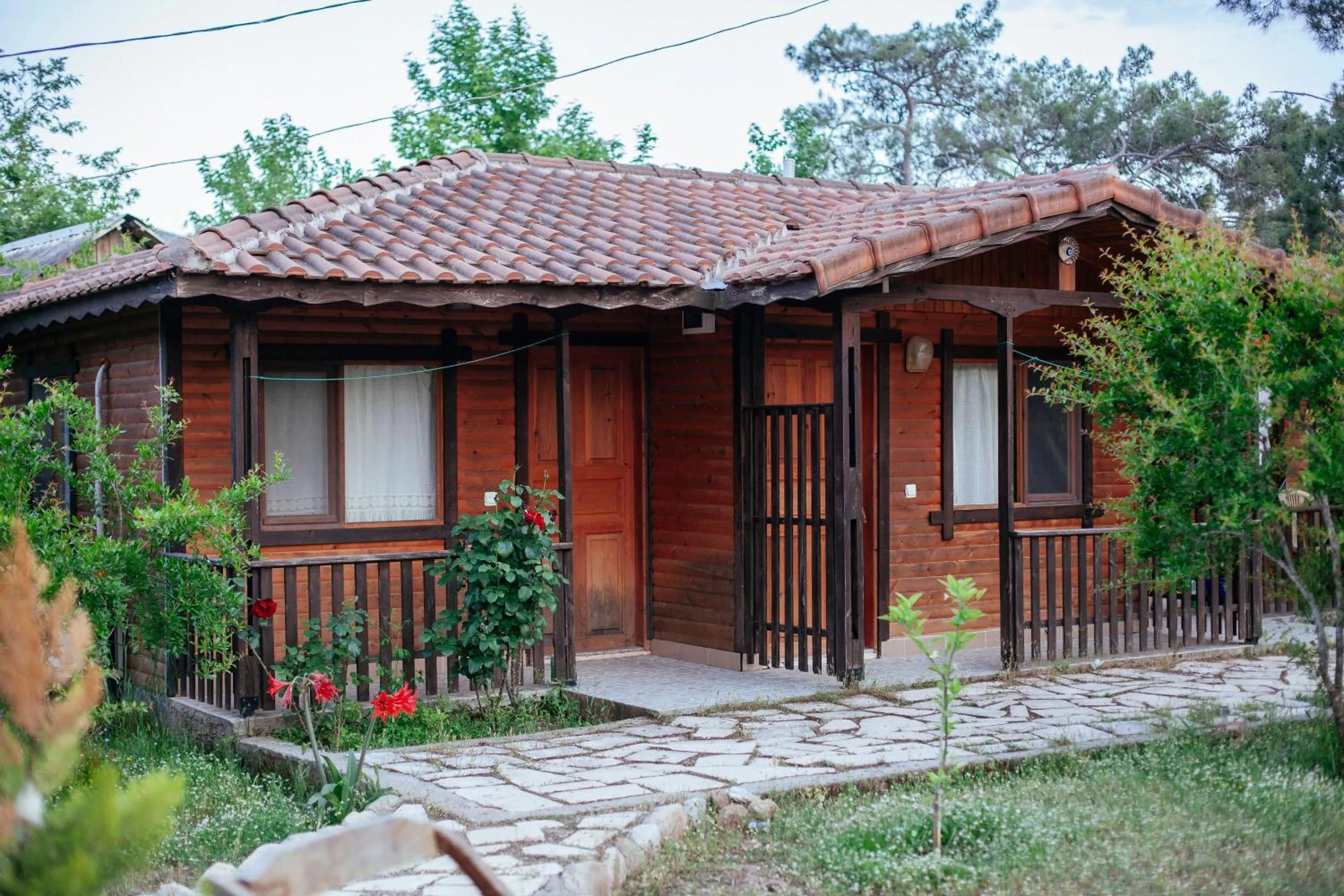 Property building in Koala Bungalows