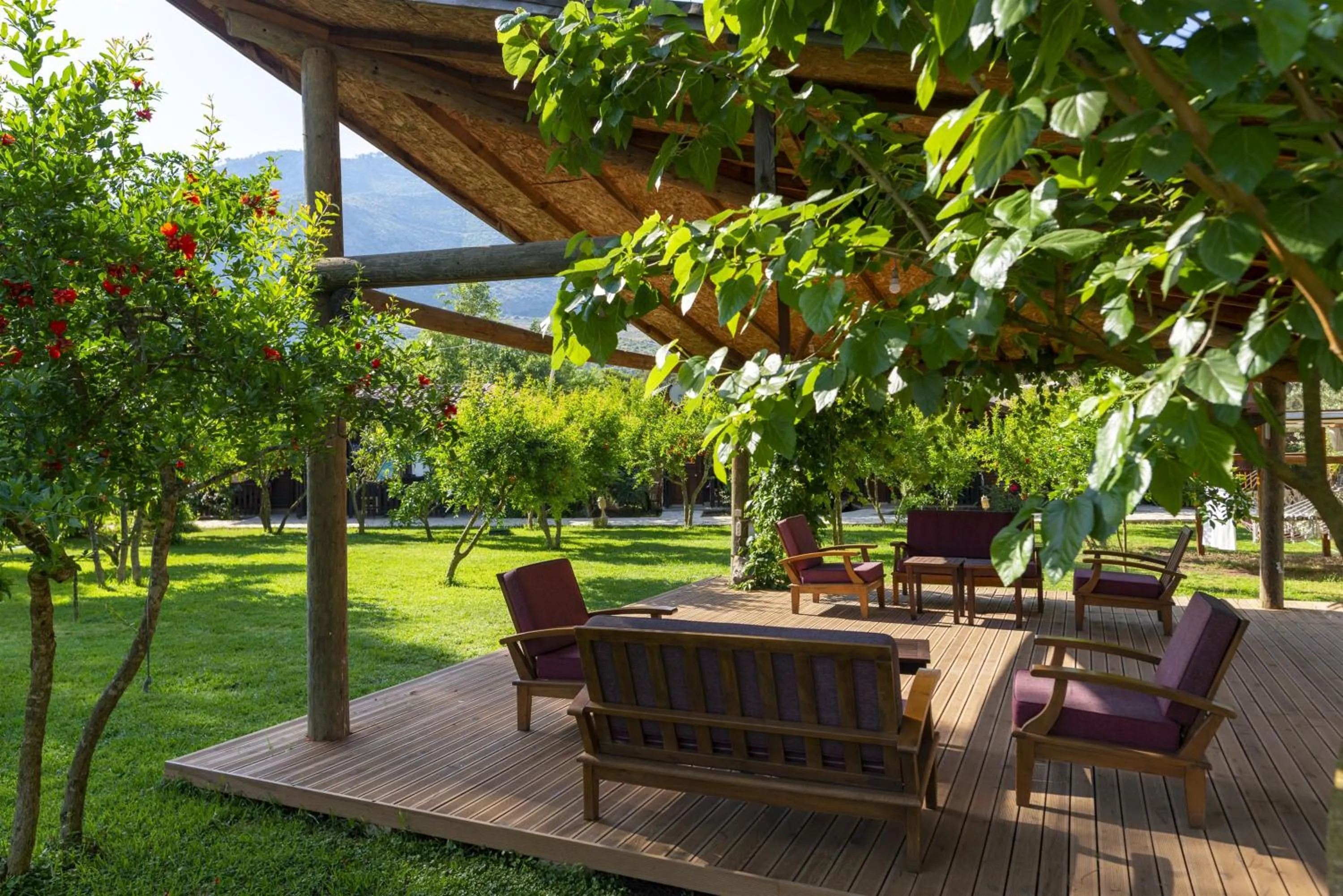 Garden in Koala Bungalows