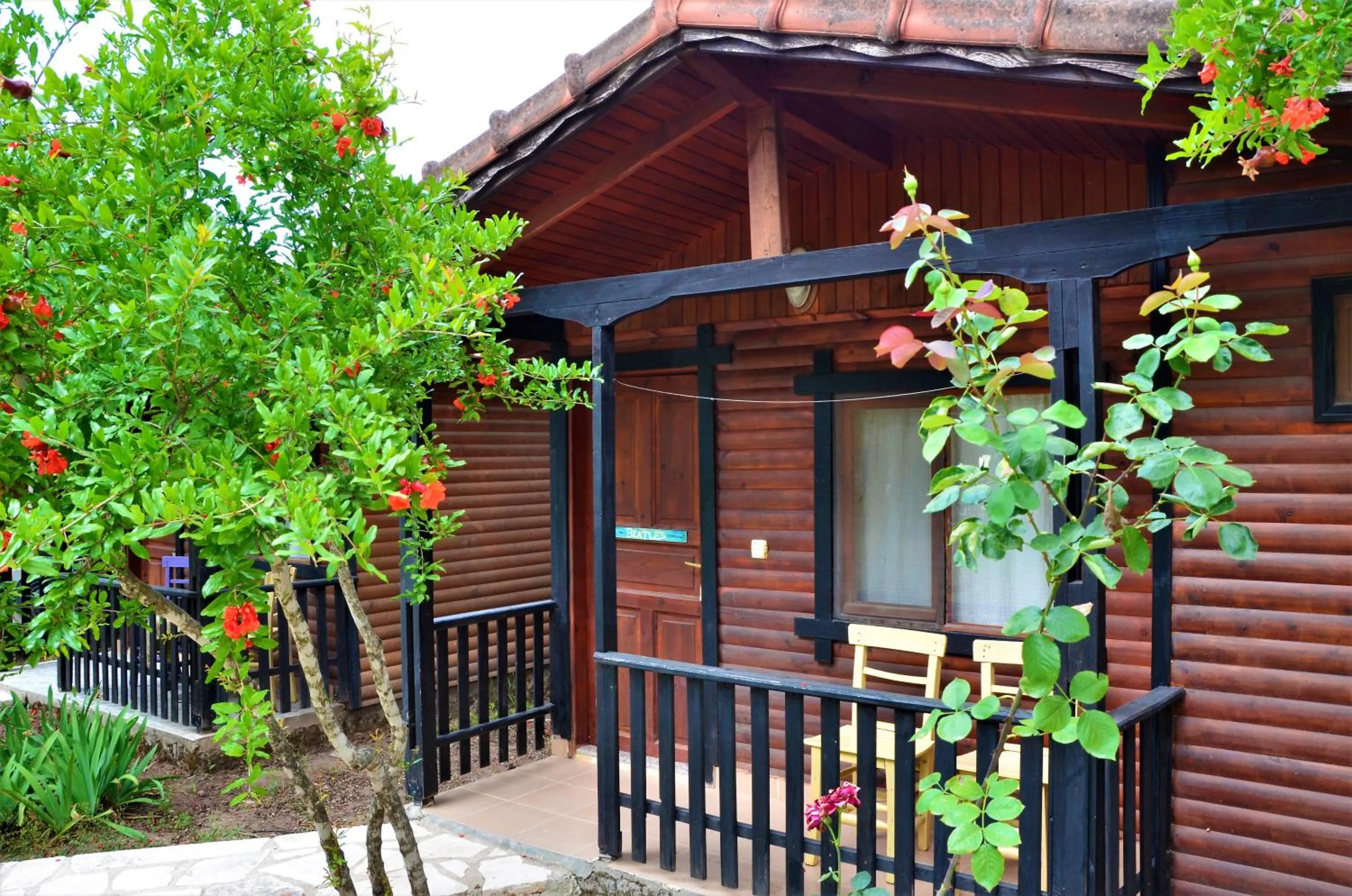 Garden view in Koala Bungalows