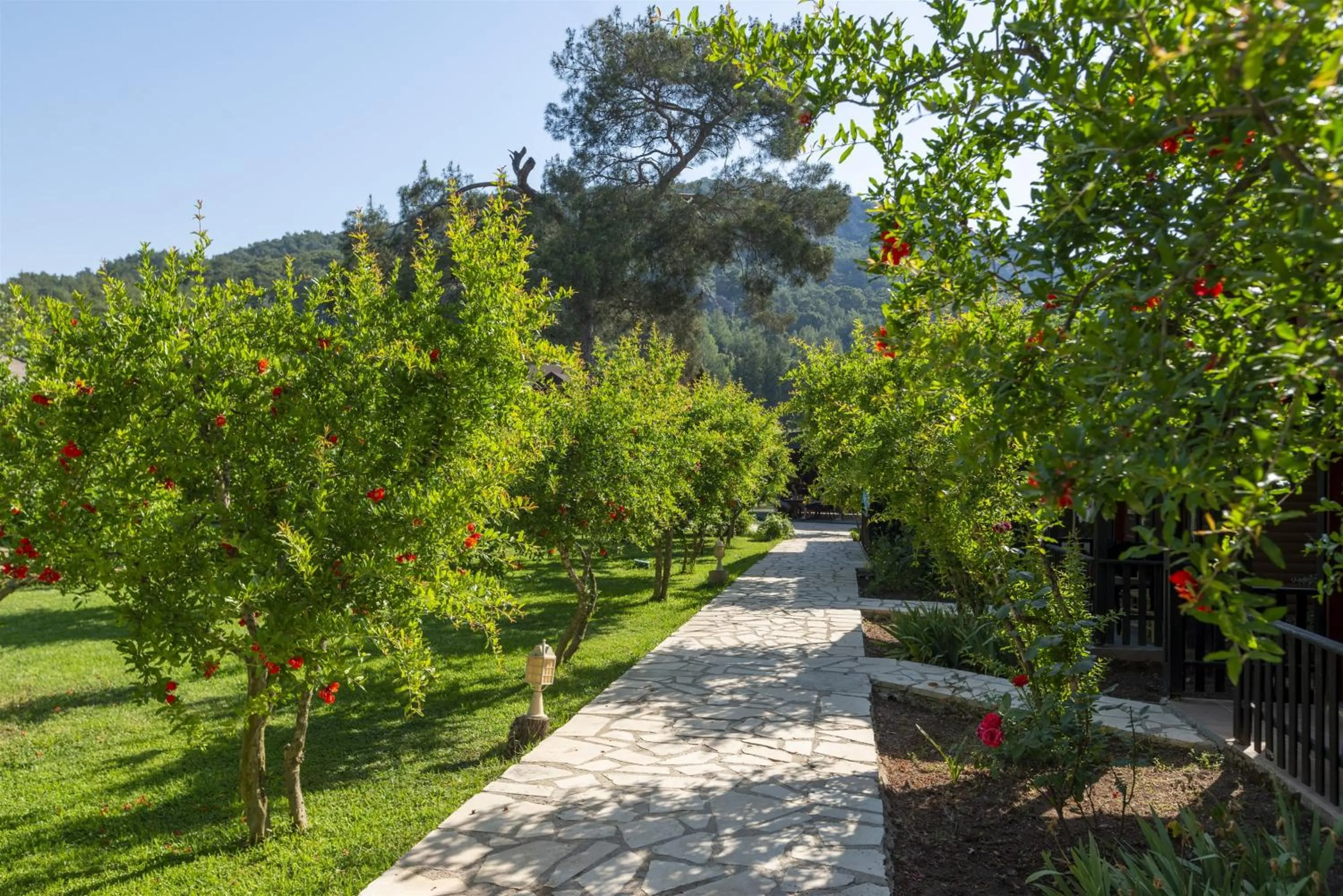 Day in Koala Bungalows