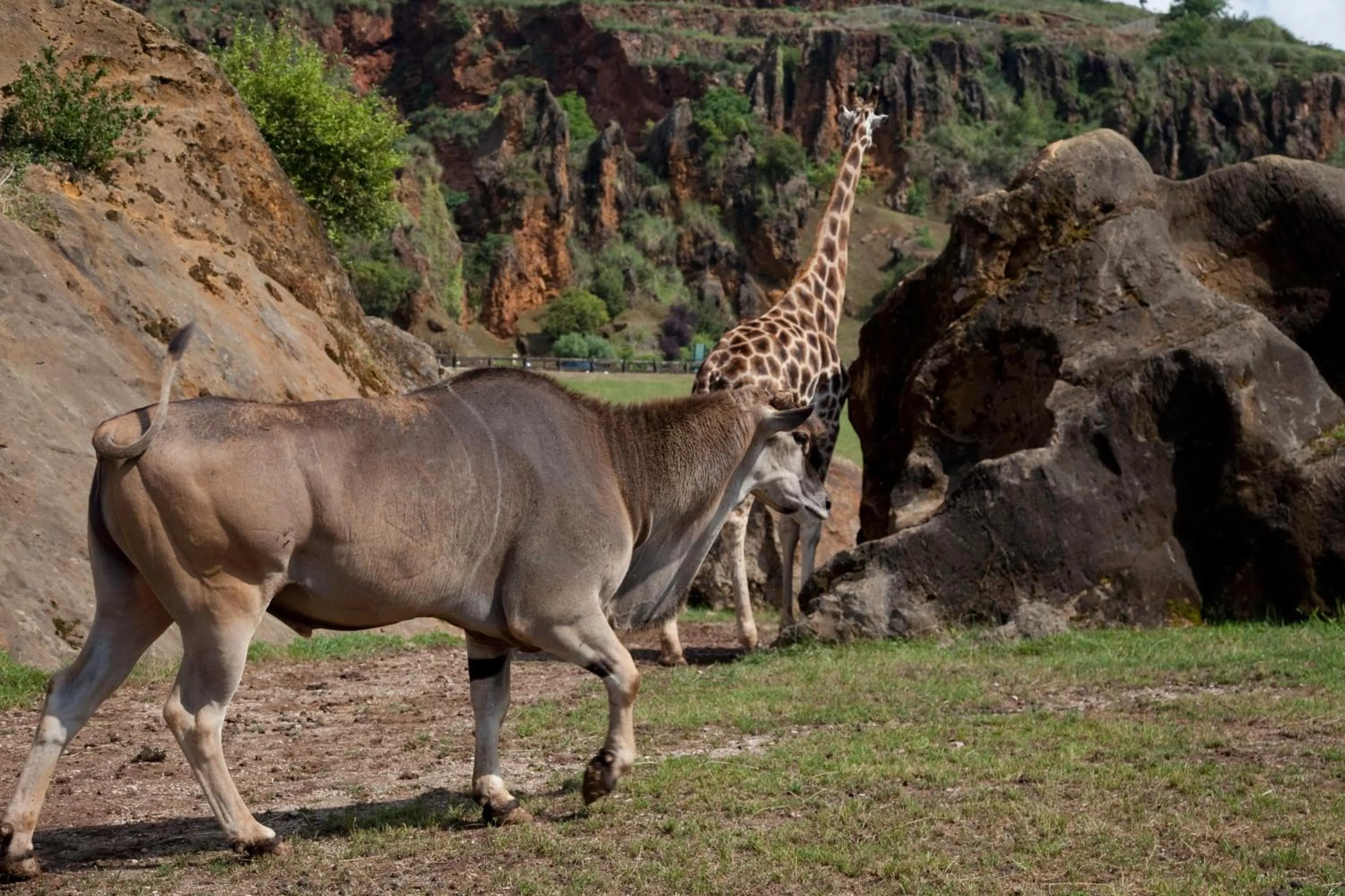 Entertainment in Hotel Casona El Arral