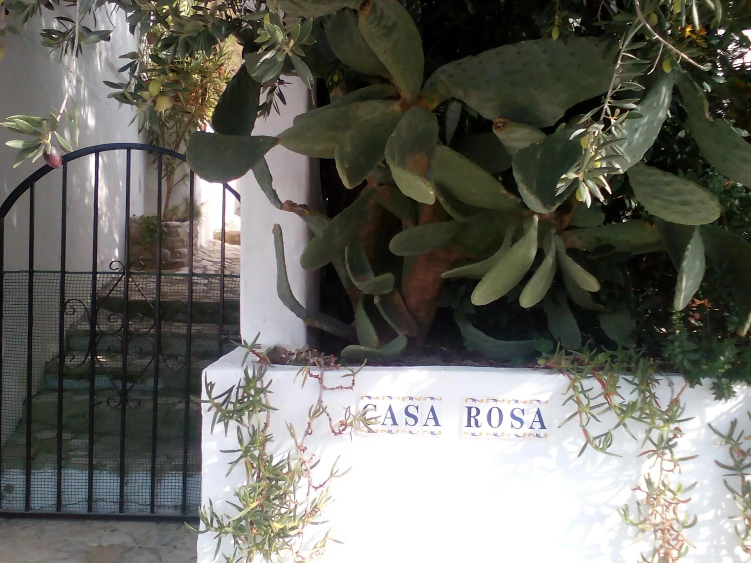 Garden in Casa La Rosa