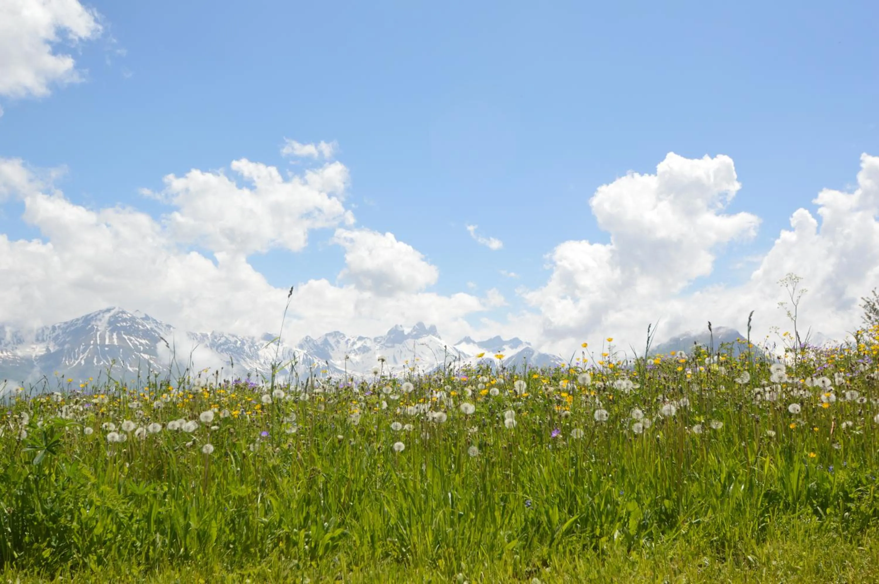 Natural landscape in Le Petit Chalet-Leard