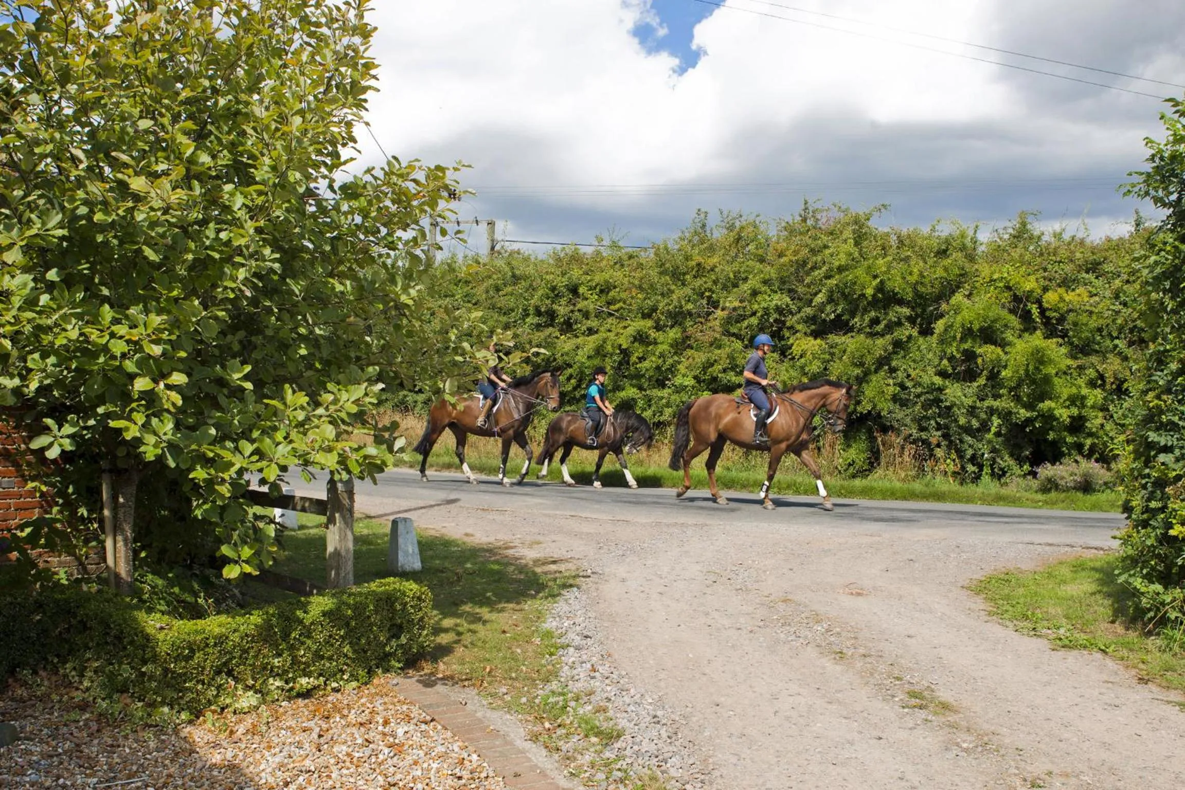 Garden in Lockgate Dairy