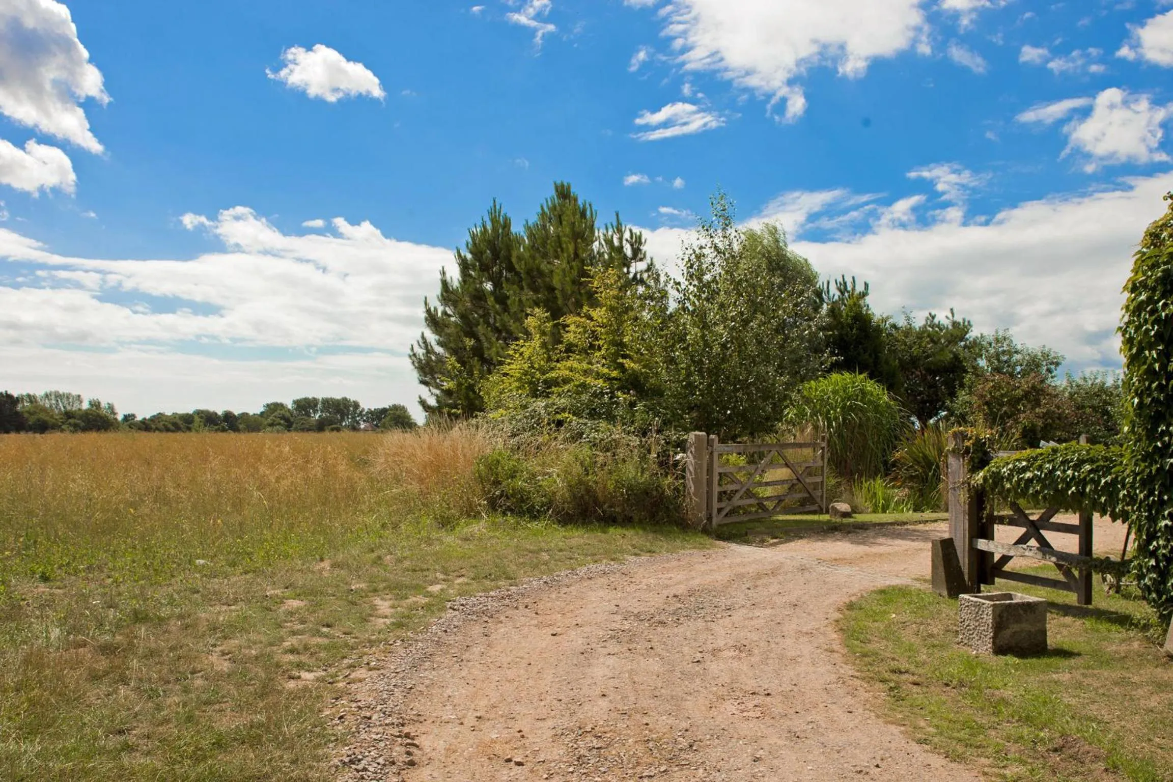 Garden in Lockgate Dairy
