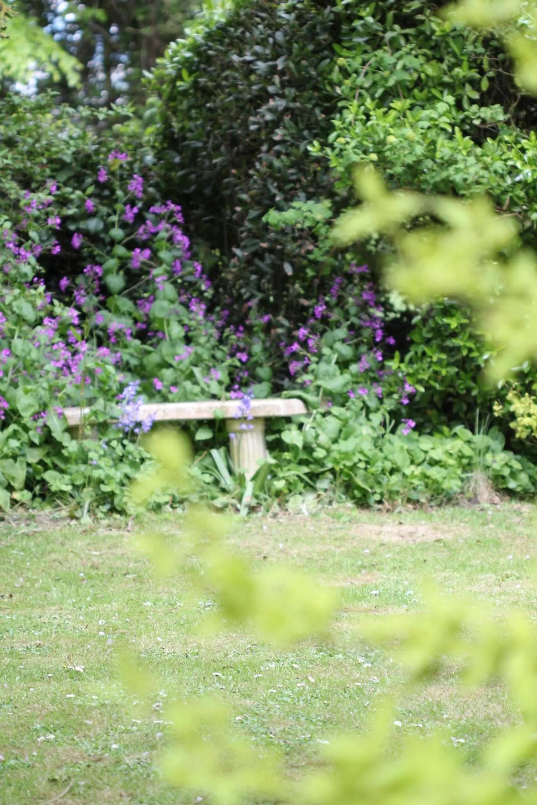 Garden view, Other Animals in Lockgate Dairy