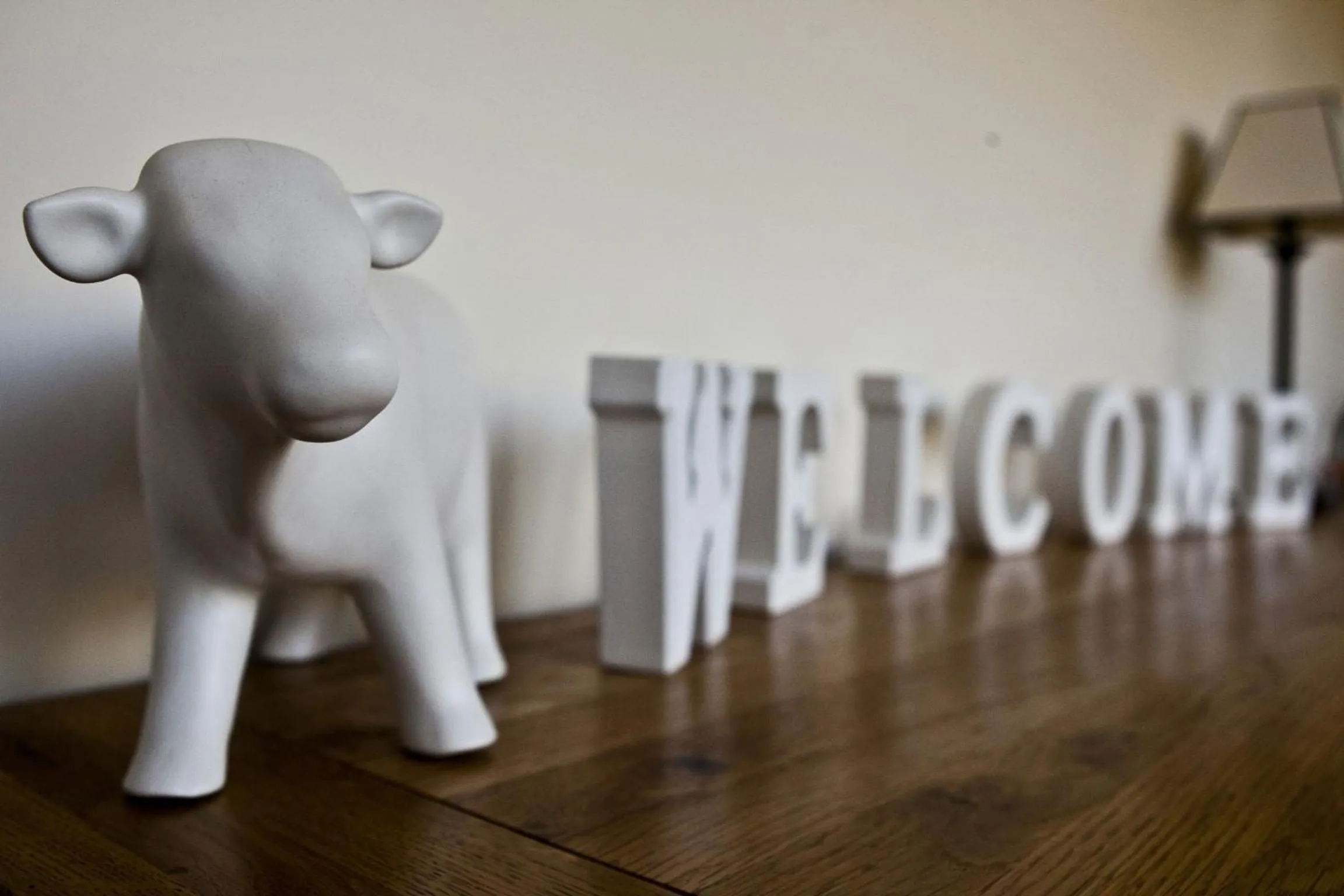 Decorative detail in Lockgate Dairy