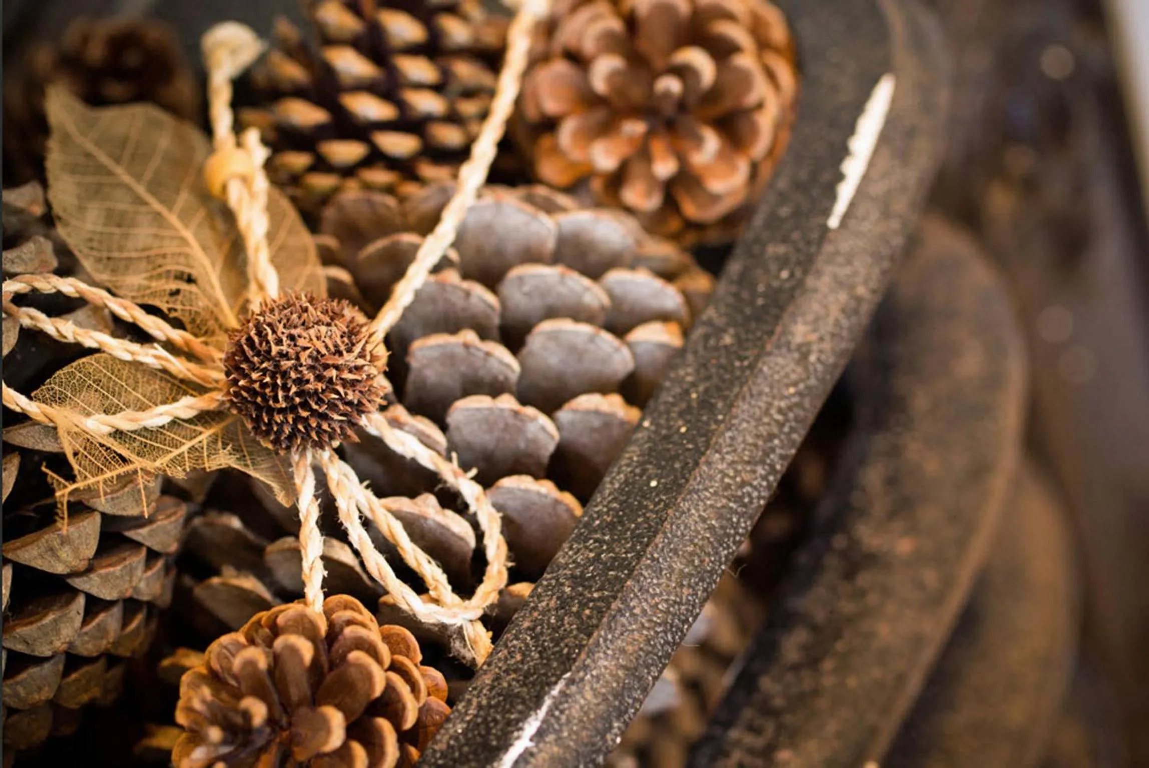 Decorative detail, Food in Lockgate Dairy
