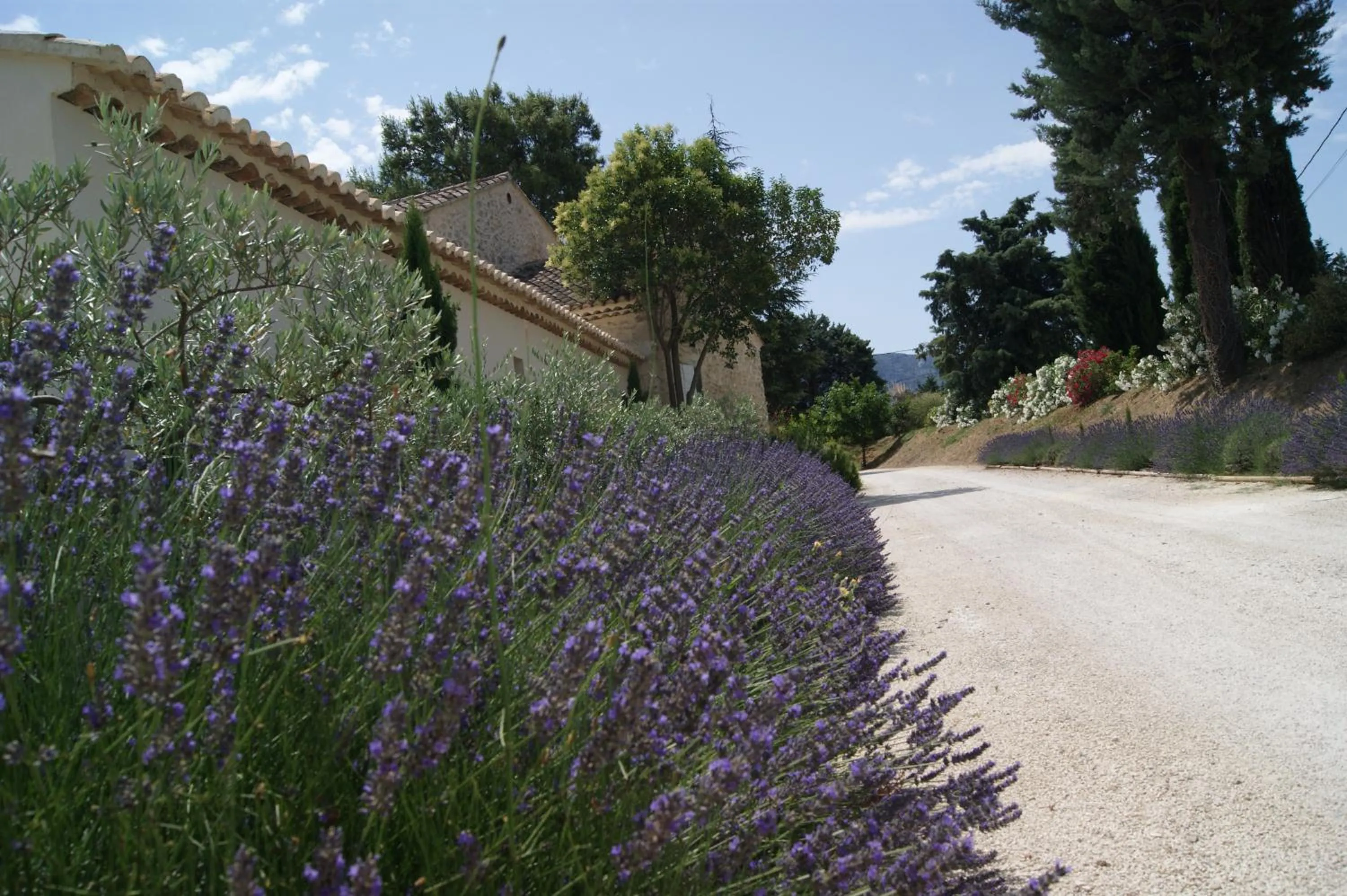 Garden in B&B dans Mas en pierres