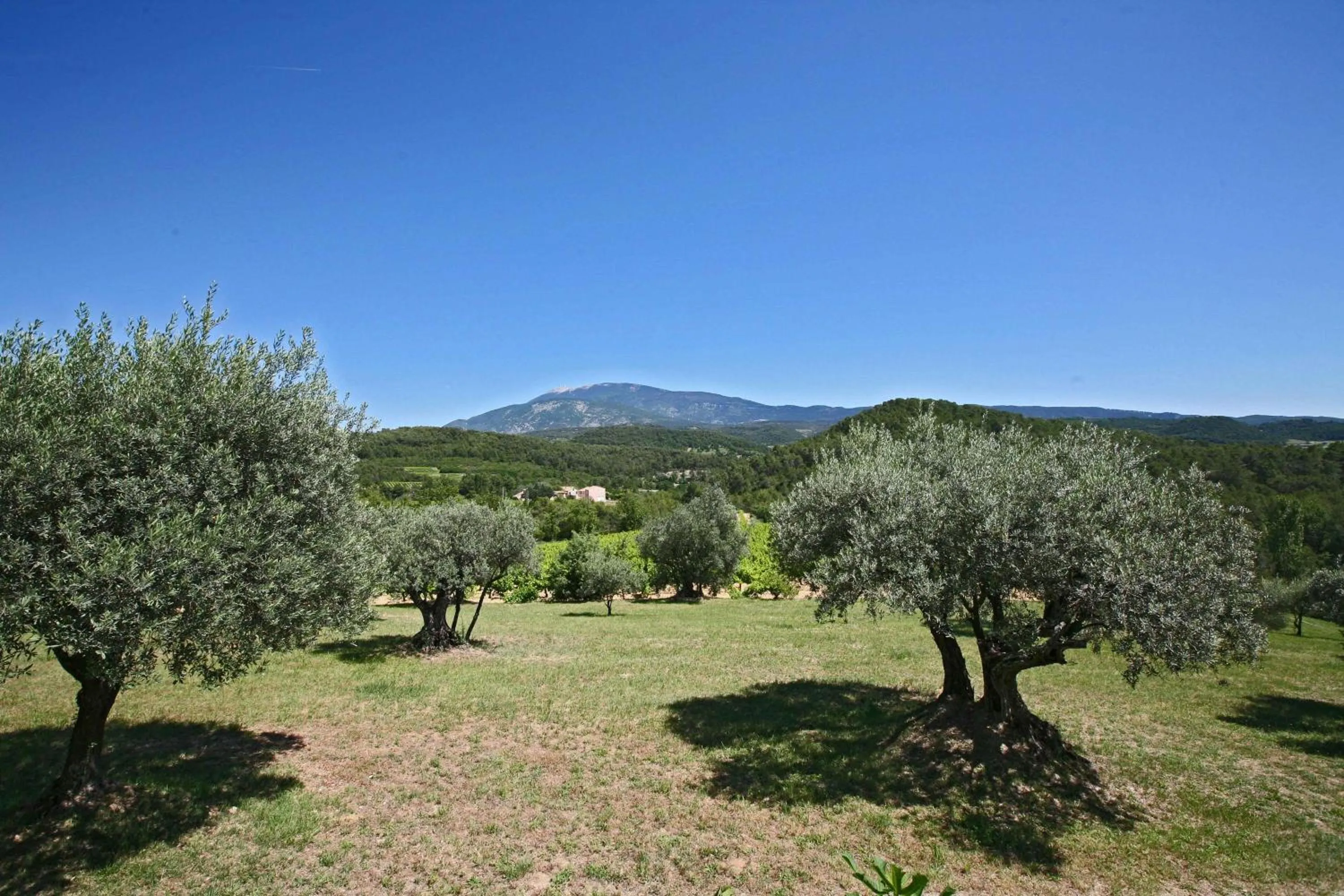 Natural landscape in B&B dans Mas en pierres