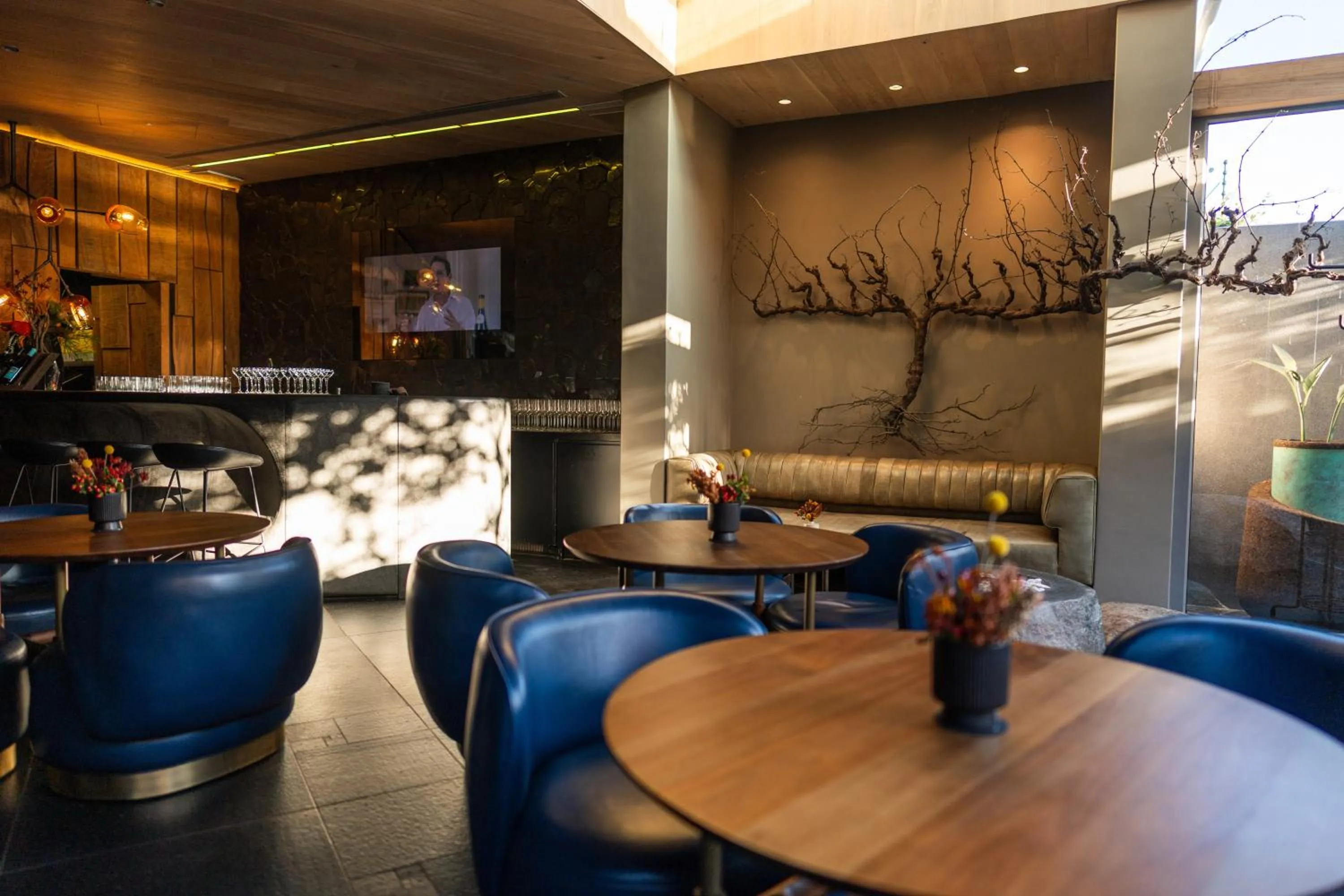 Restaurant/places to eat in Ellerman House