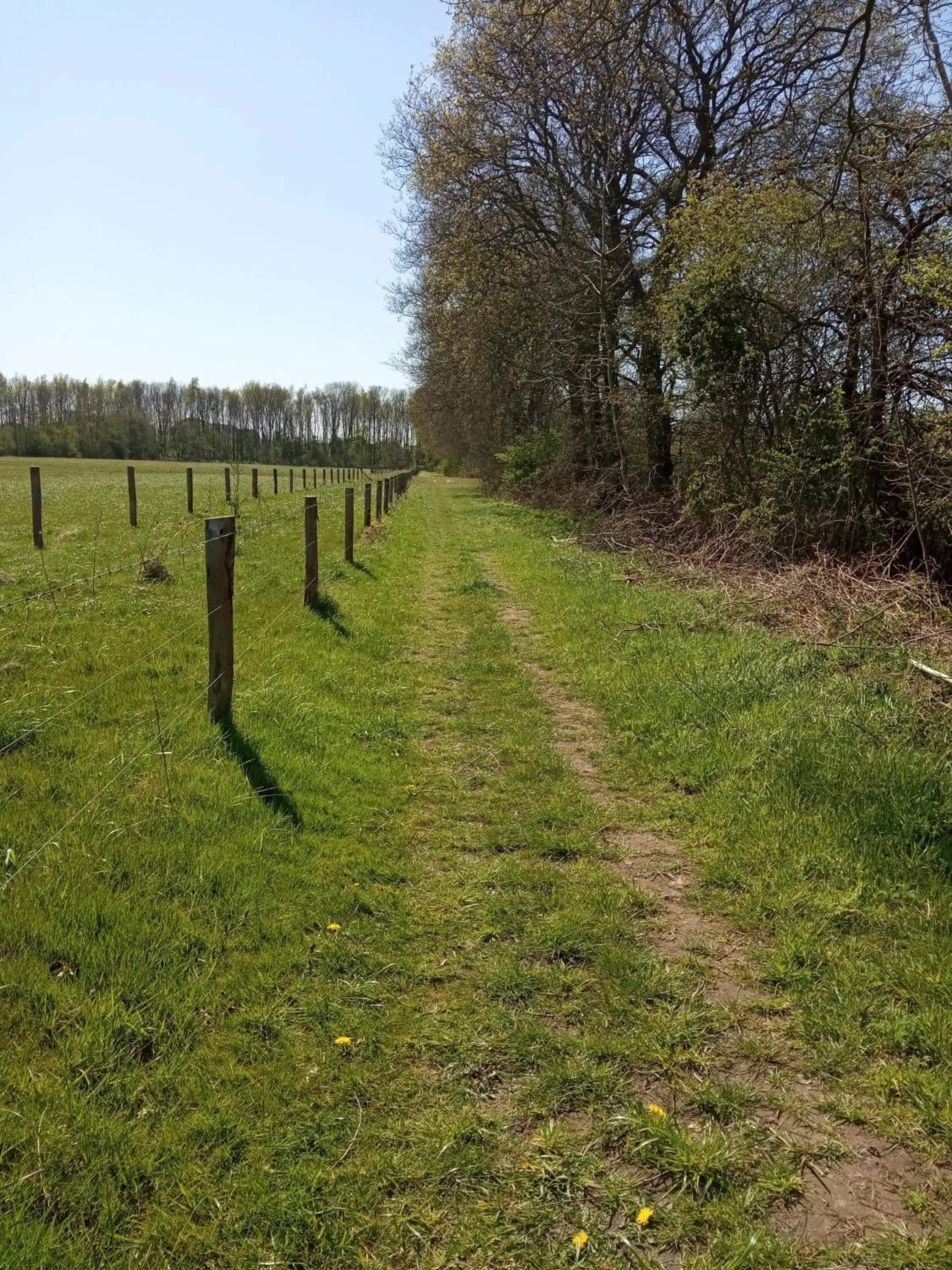 Natural landscape in Bij Maus