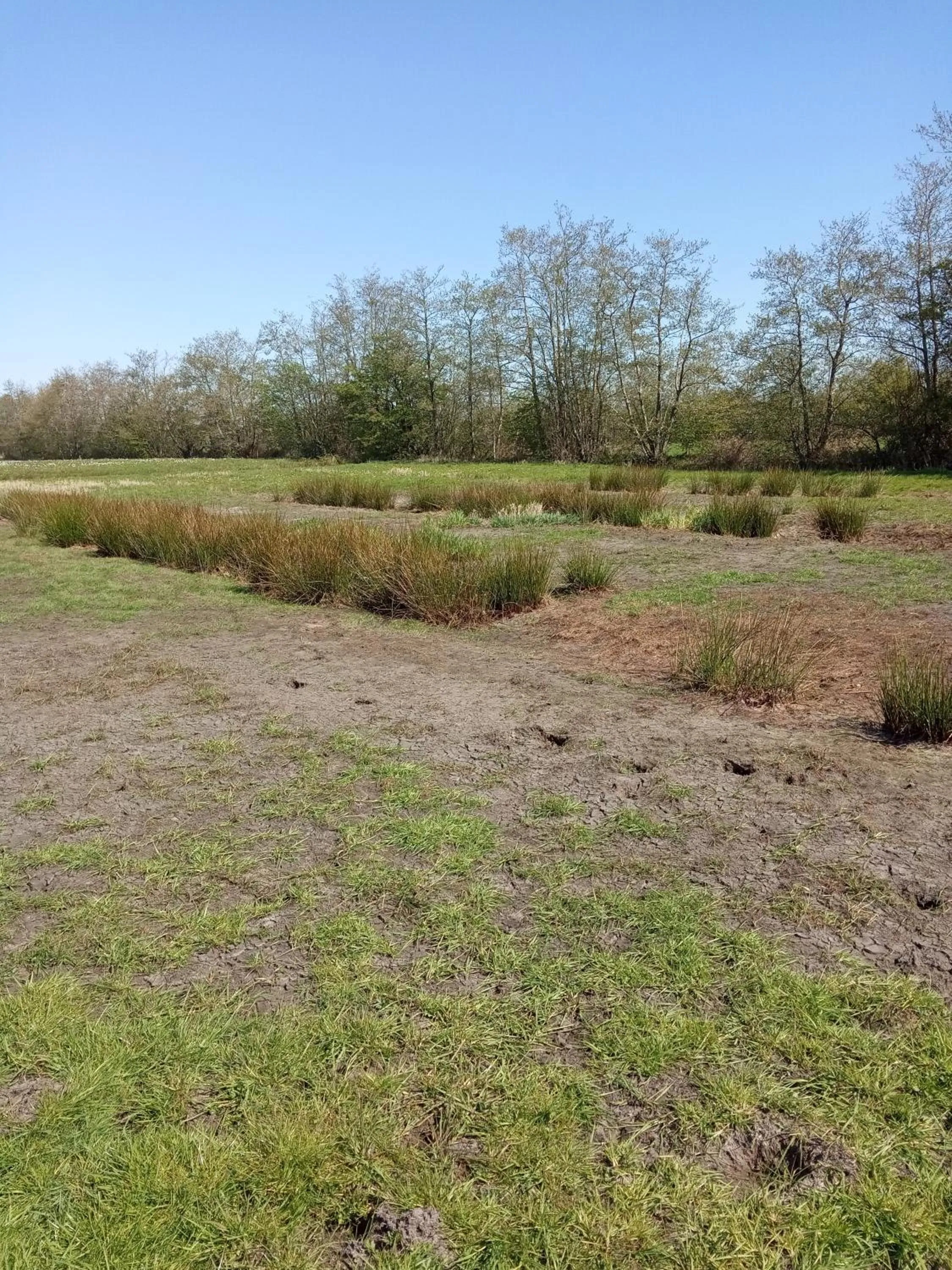 Natural landscape in Bij Maus