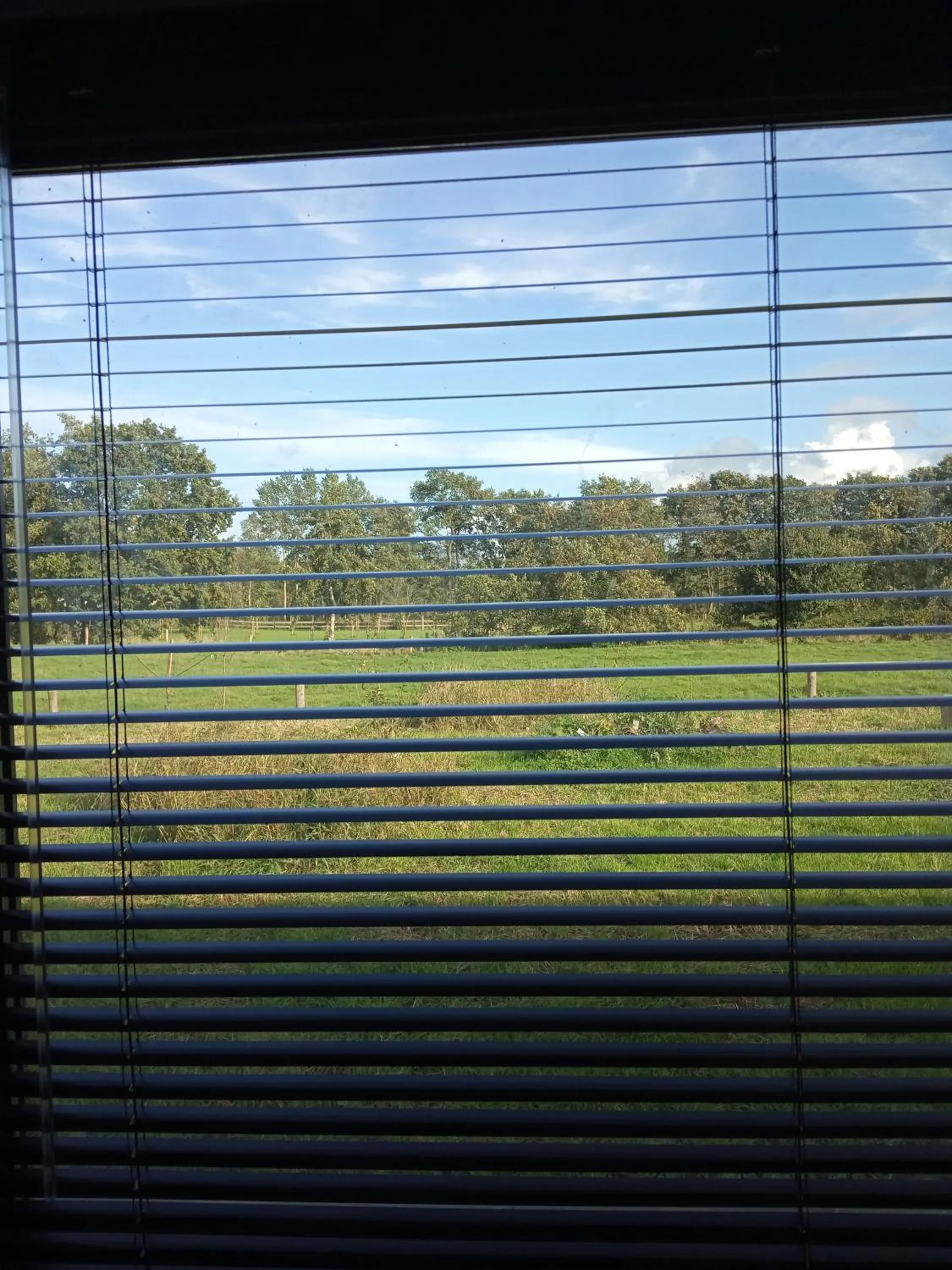 Garden view in Bij Maus