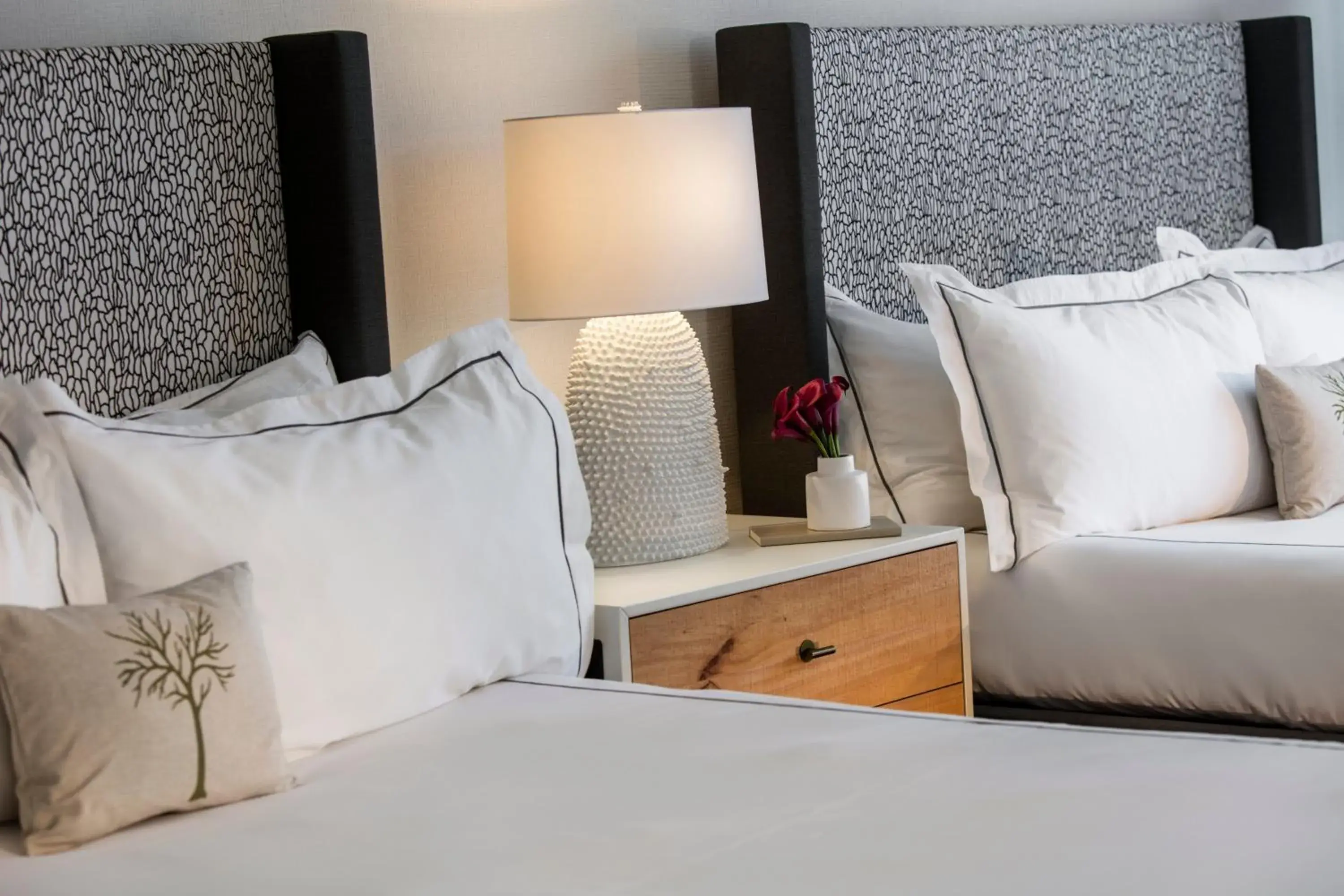 Deluxe Queen Room with Two Queen Beds in Glover Park Hotel Georgetown Deluxe Queen Room with Two Queen Beds in Glover Park Hotel Georgetown