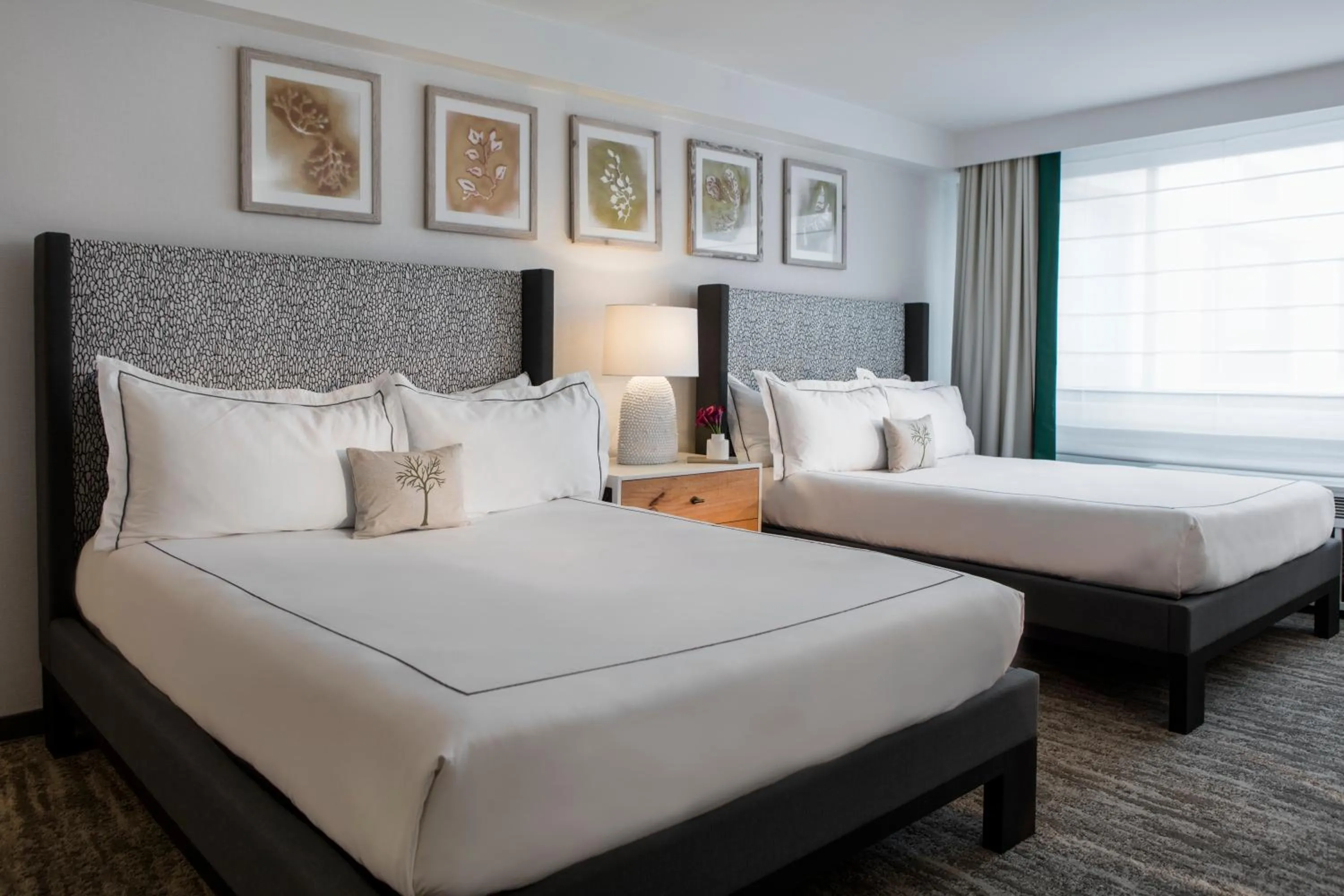 Queen Studio with Kitchenette in Glover Park Hotel Georgetown