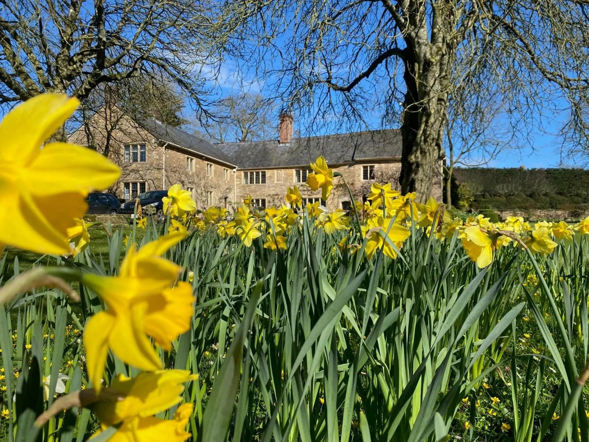 Property building in Plumber Manor Hotel
