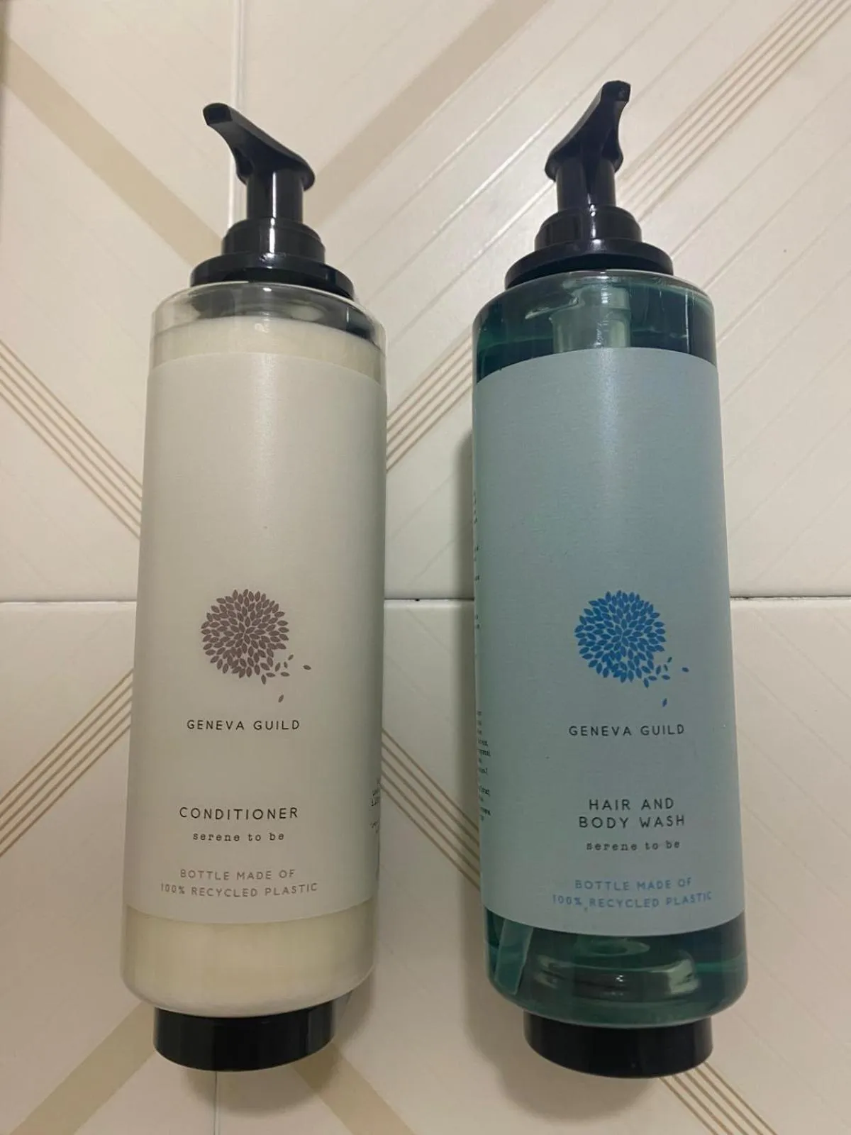 hair dryier in Hotel St. Moritz