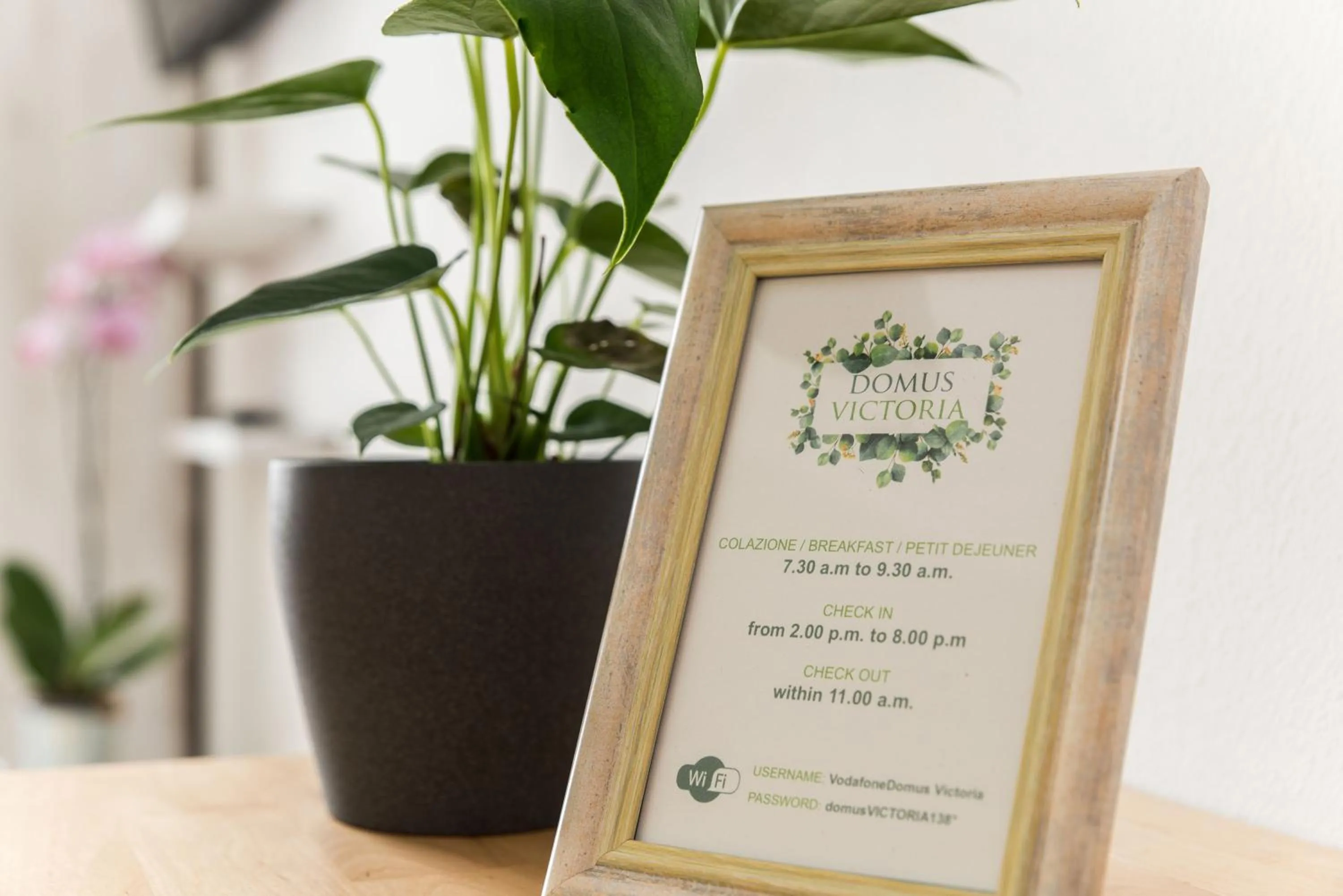 Decorative detail in Domus Victoria Guest House