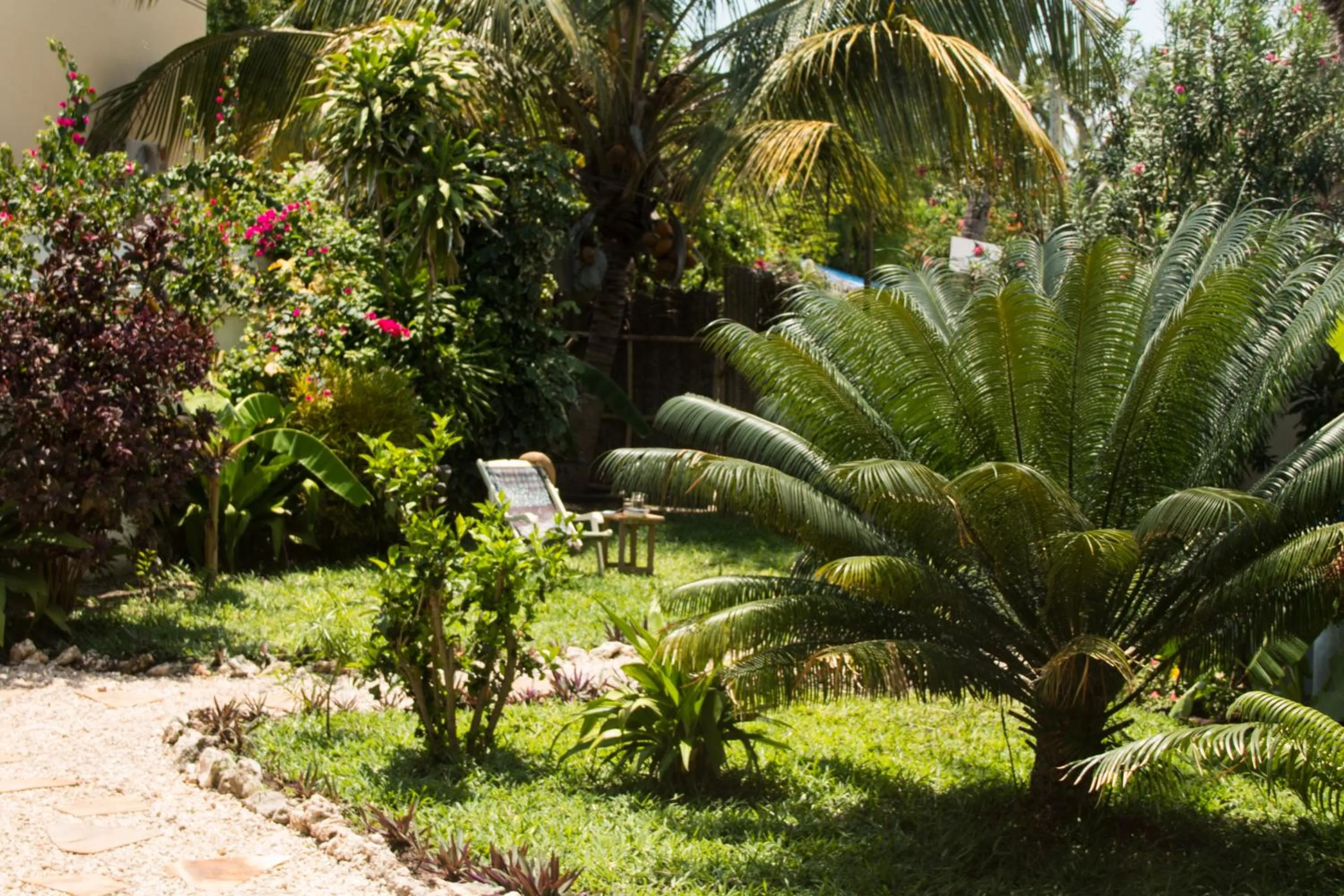 Garden in Villa Kiota