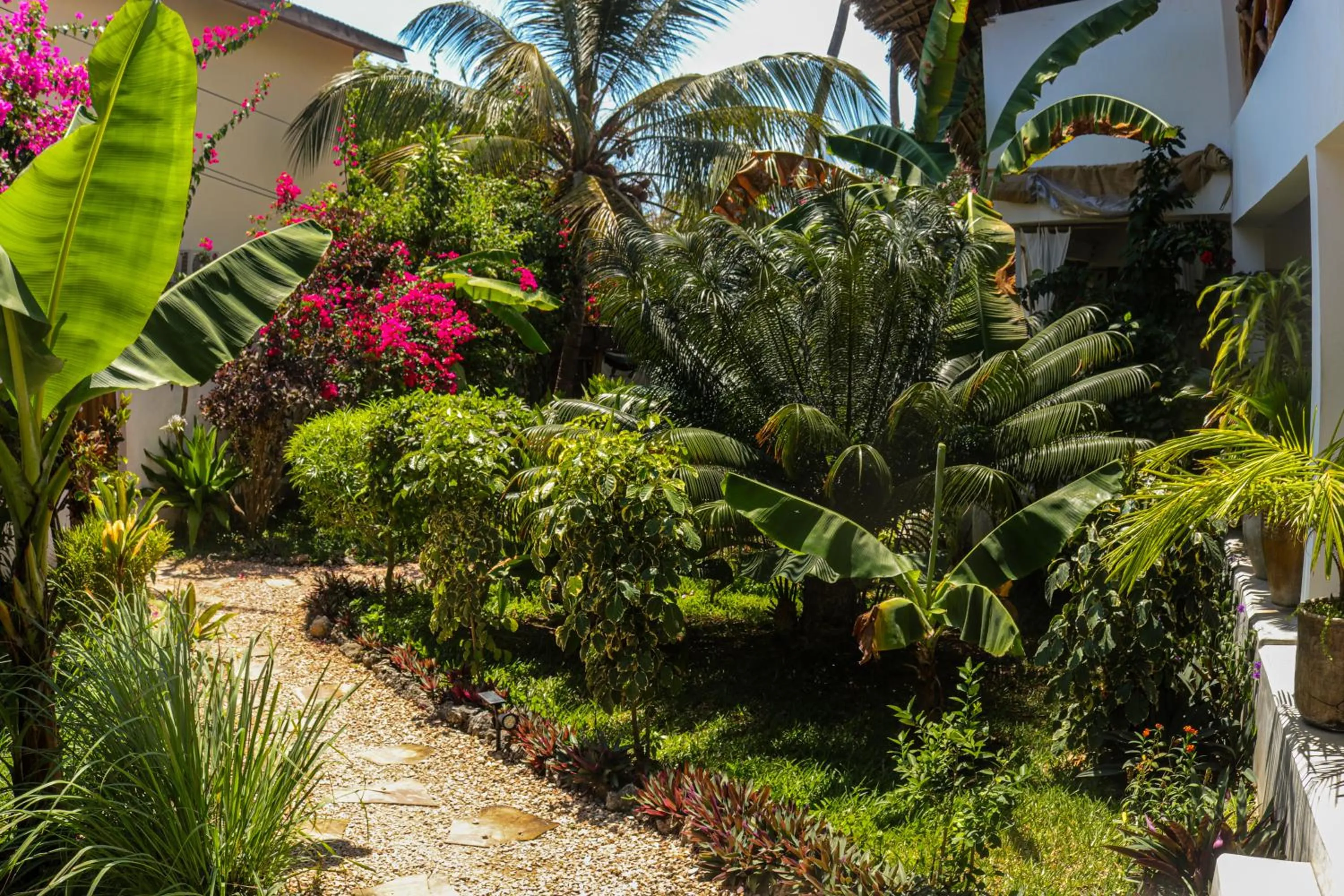 Garden view in Villa Kiota