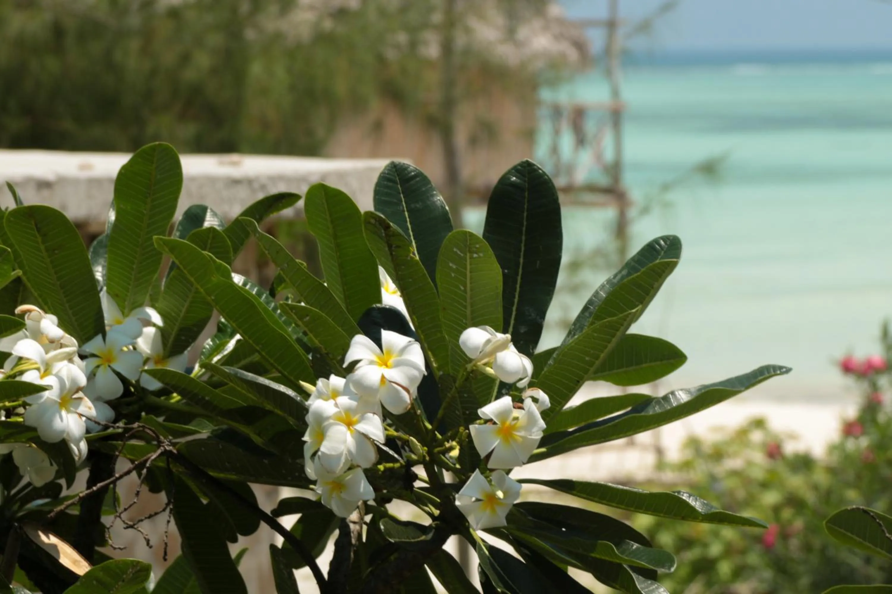 Sea view in Villa Kiota