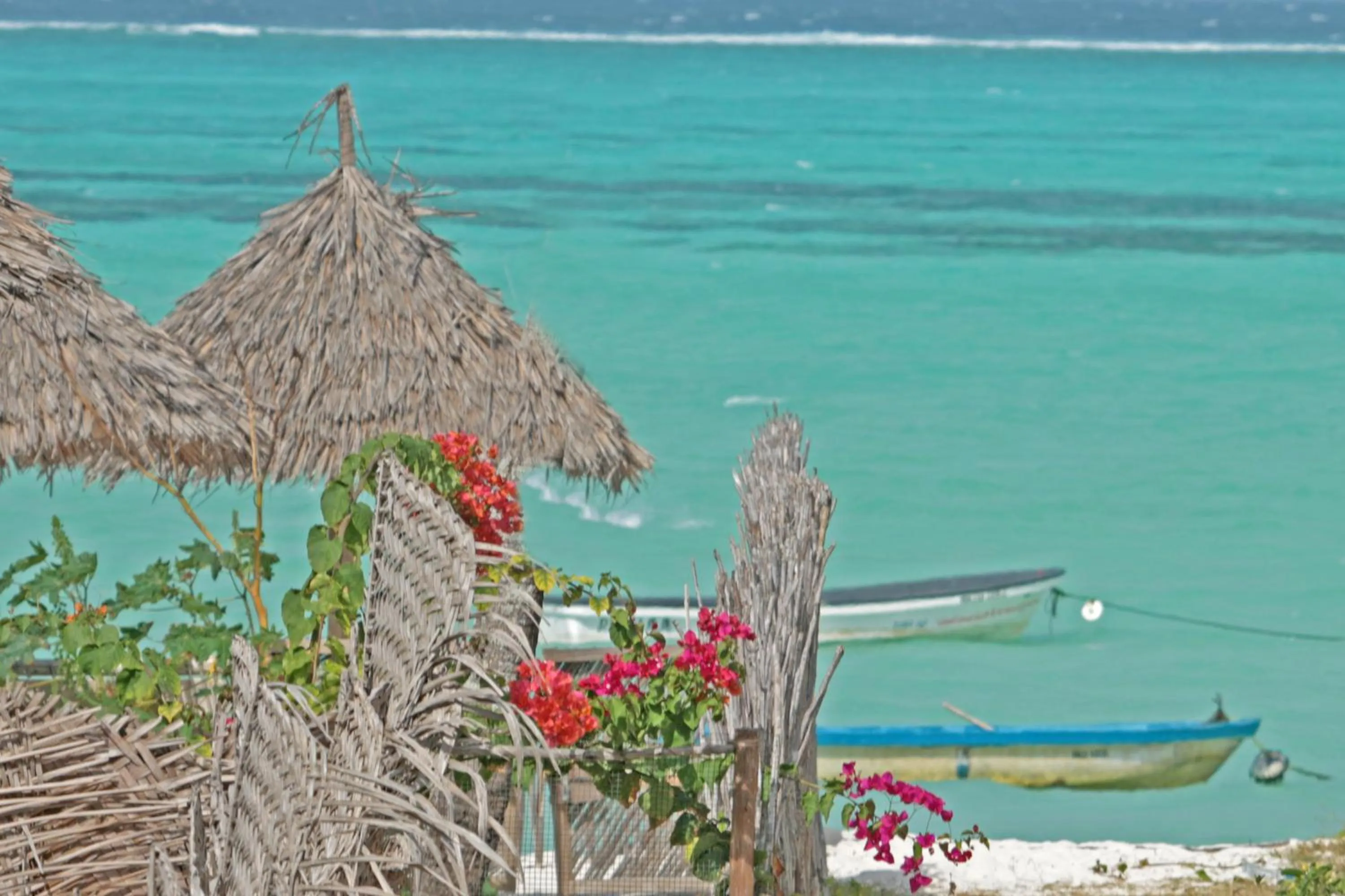 View (from property/room) in Villa Kiota