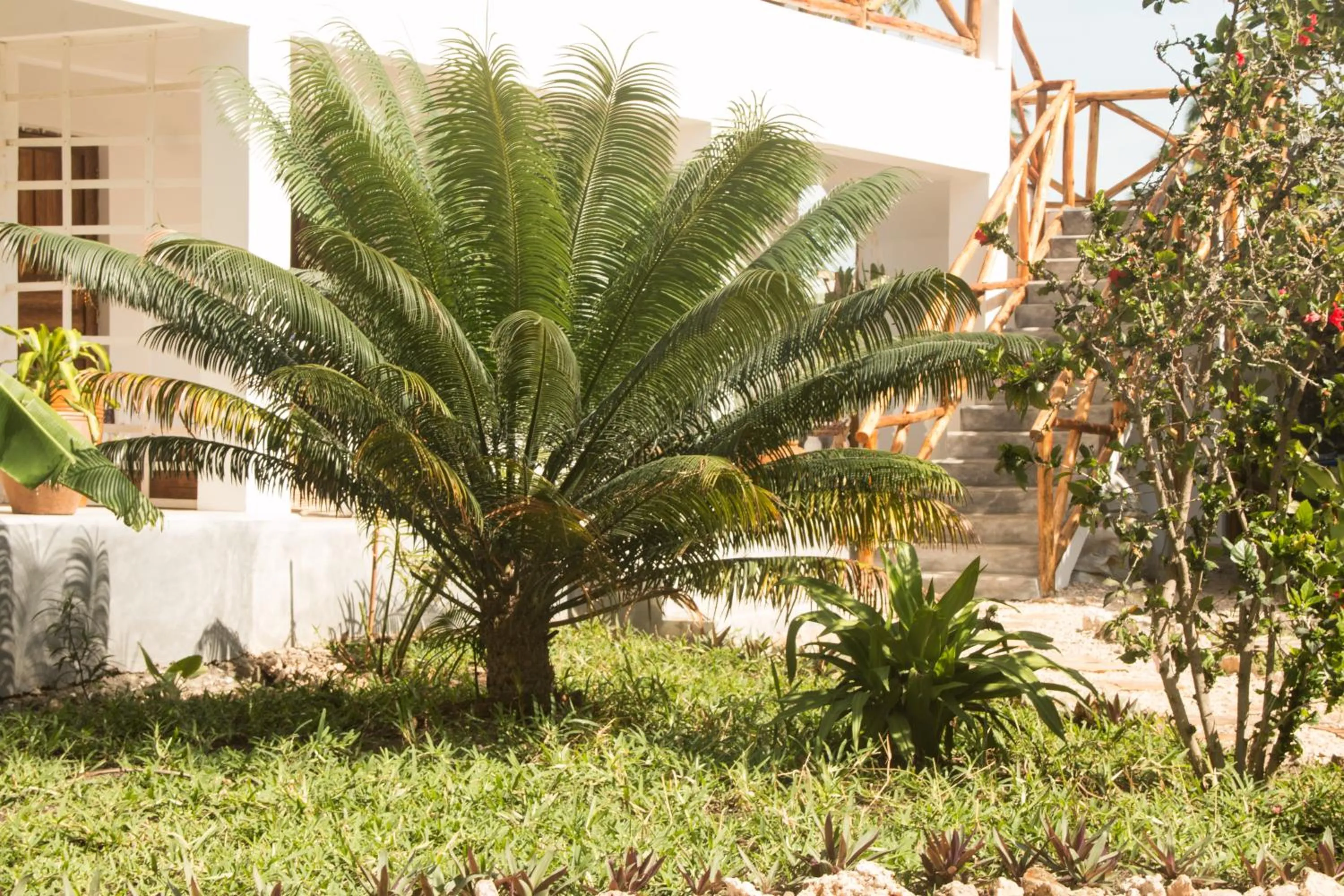 Garden in Villa Kiota