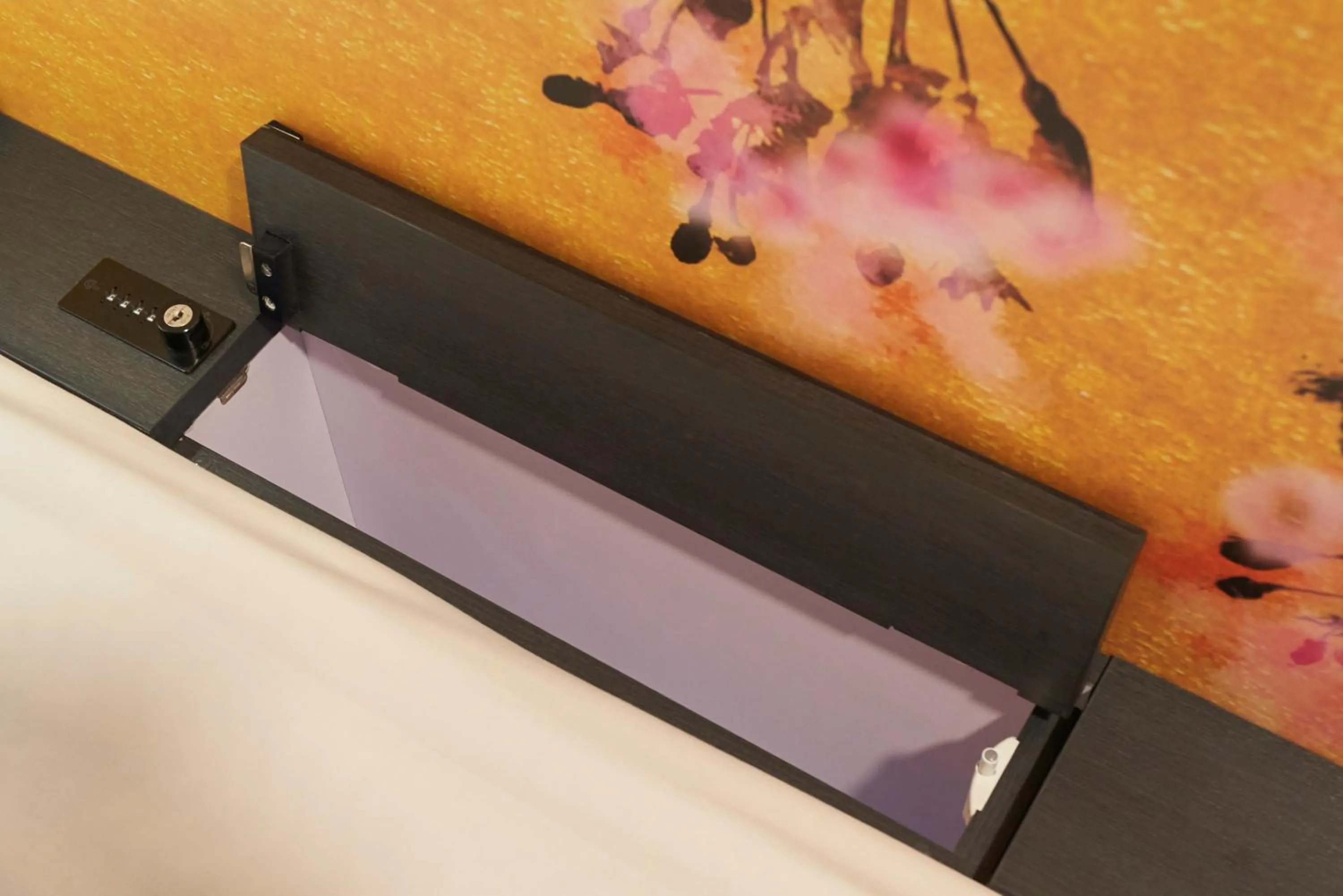 safe in Resol Poshtel Tokyo Asakusa