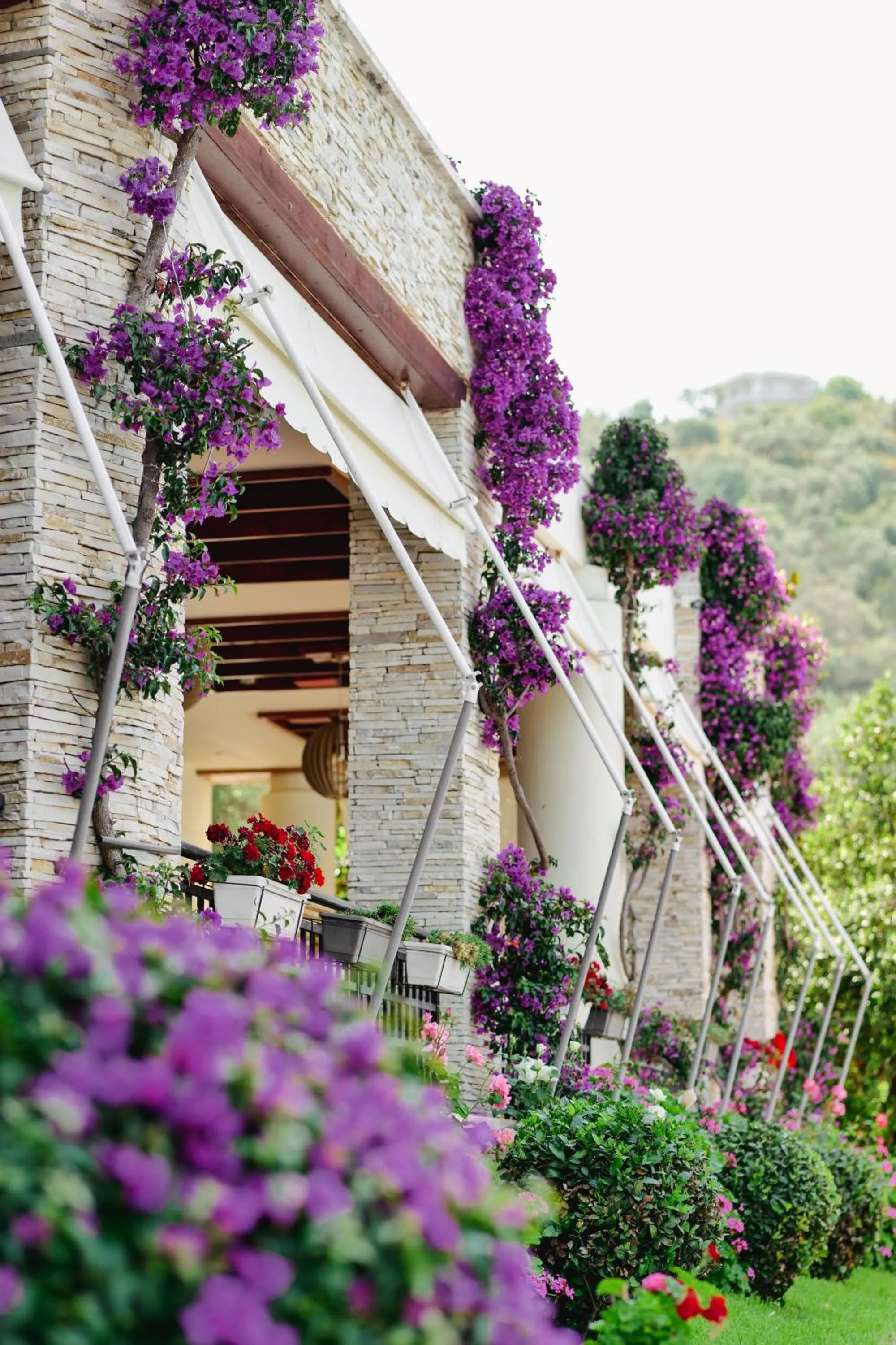 Property building in Rapo's Resort Hotel