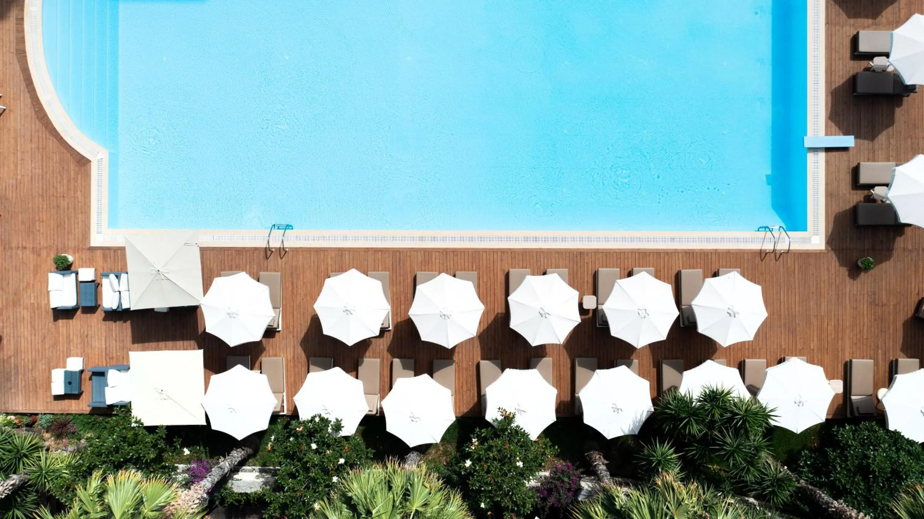 Day in Rapo's Resort Hotel