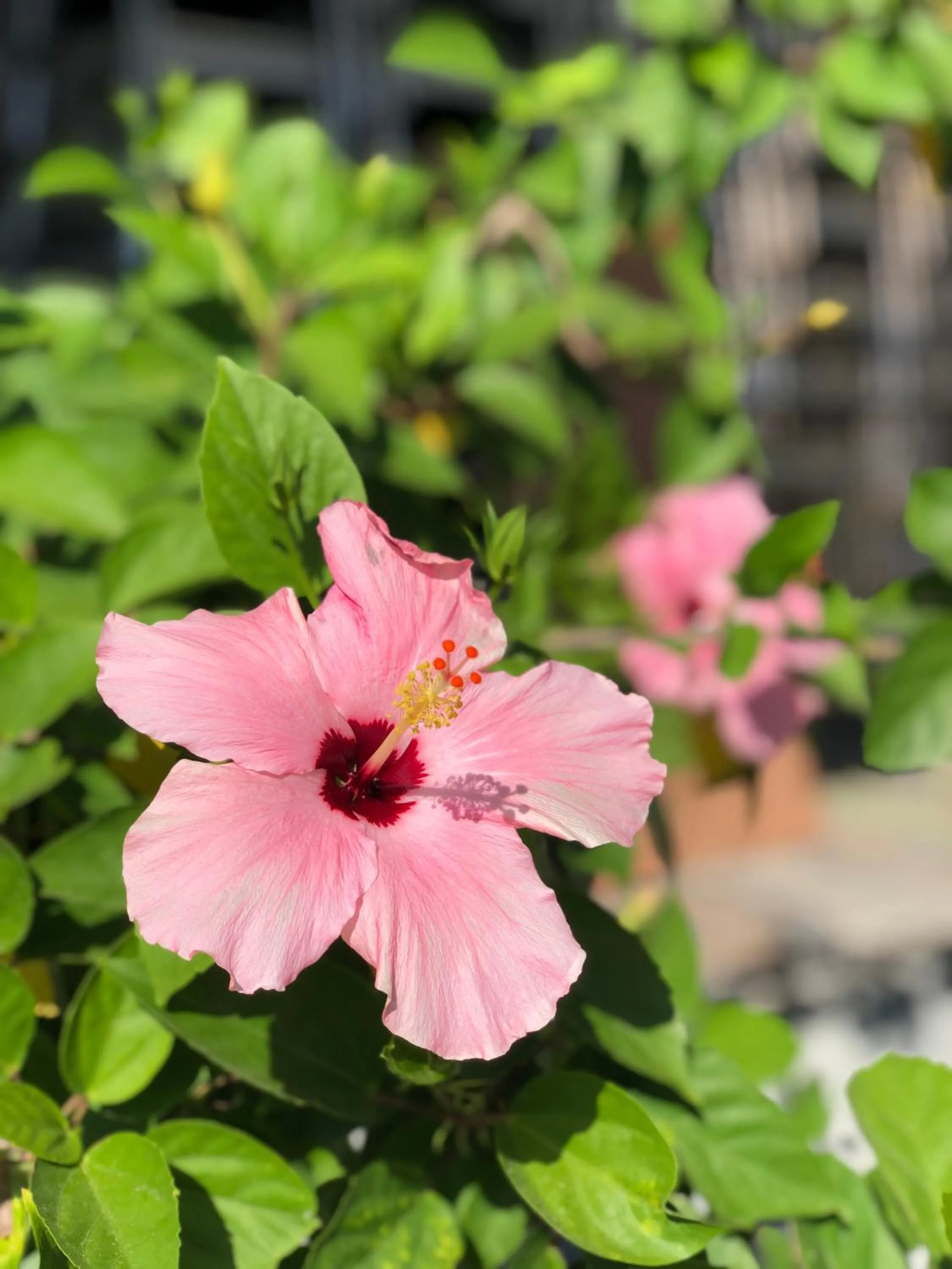 EM Royalle Hotel & Beach Resort