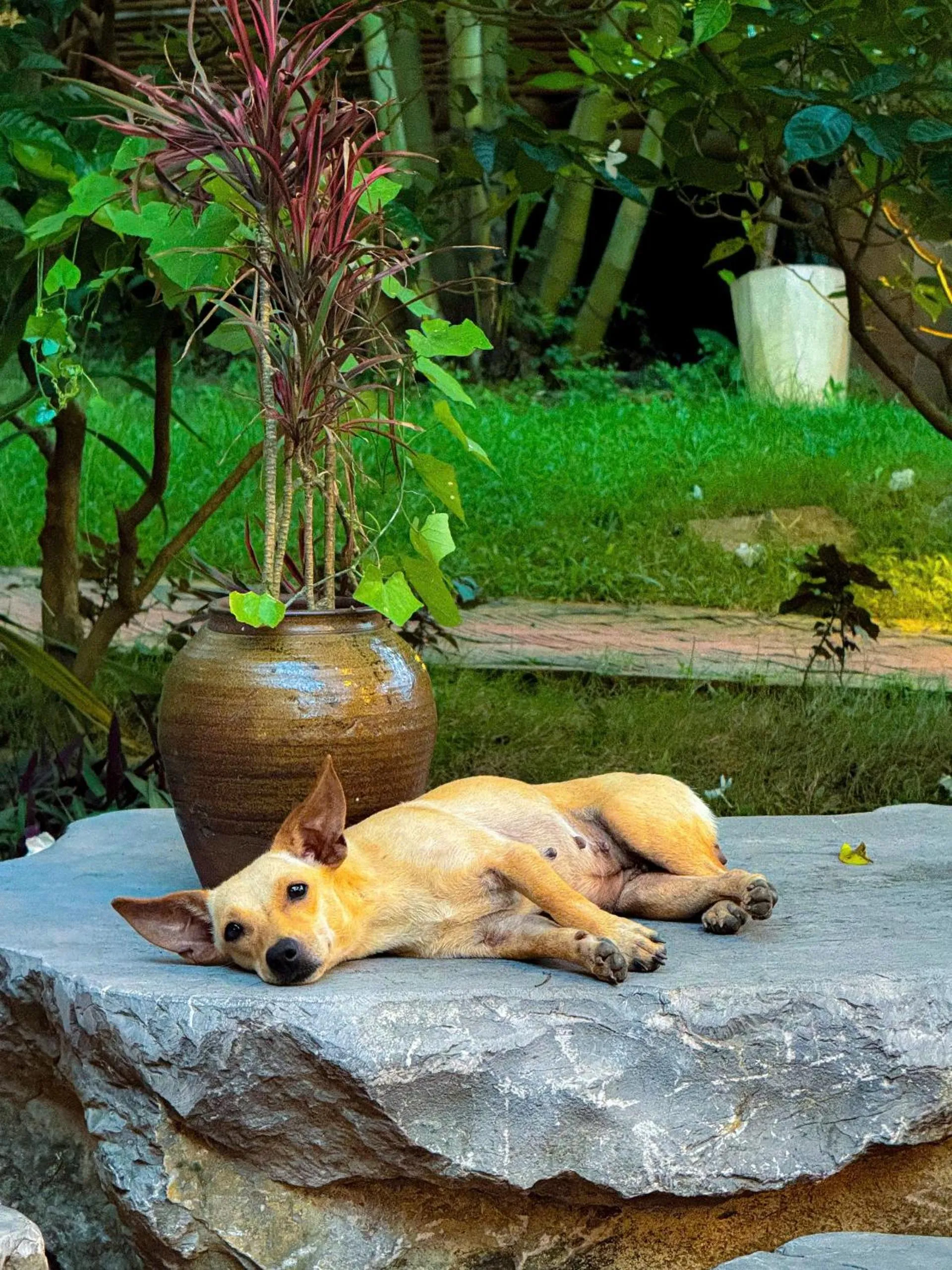 Trang An Lamia Bungalow