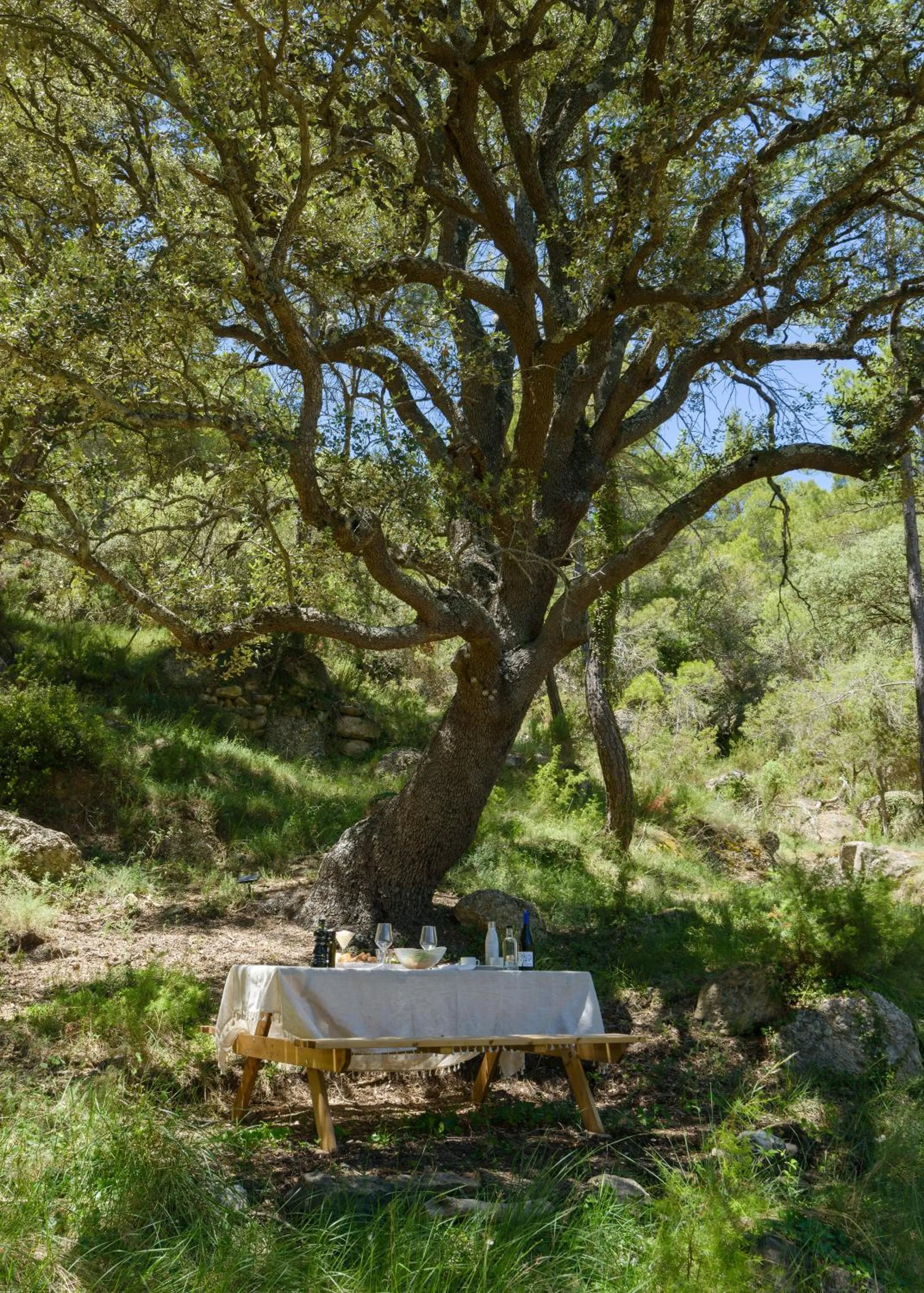 Torre del Marqués Hotel Spa & Winery - Small Luxury Hotels