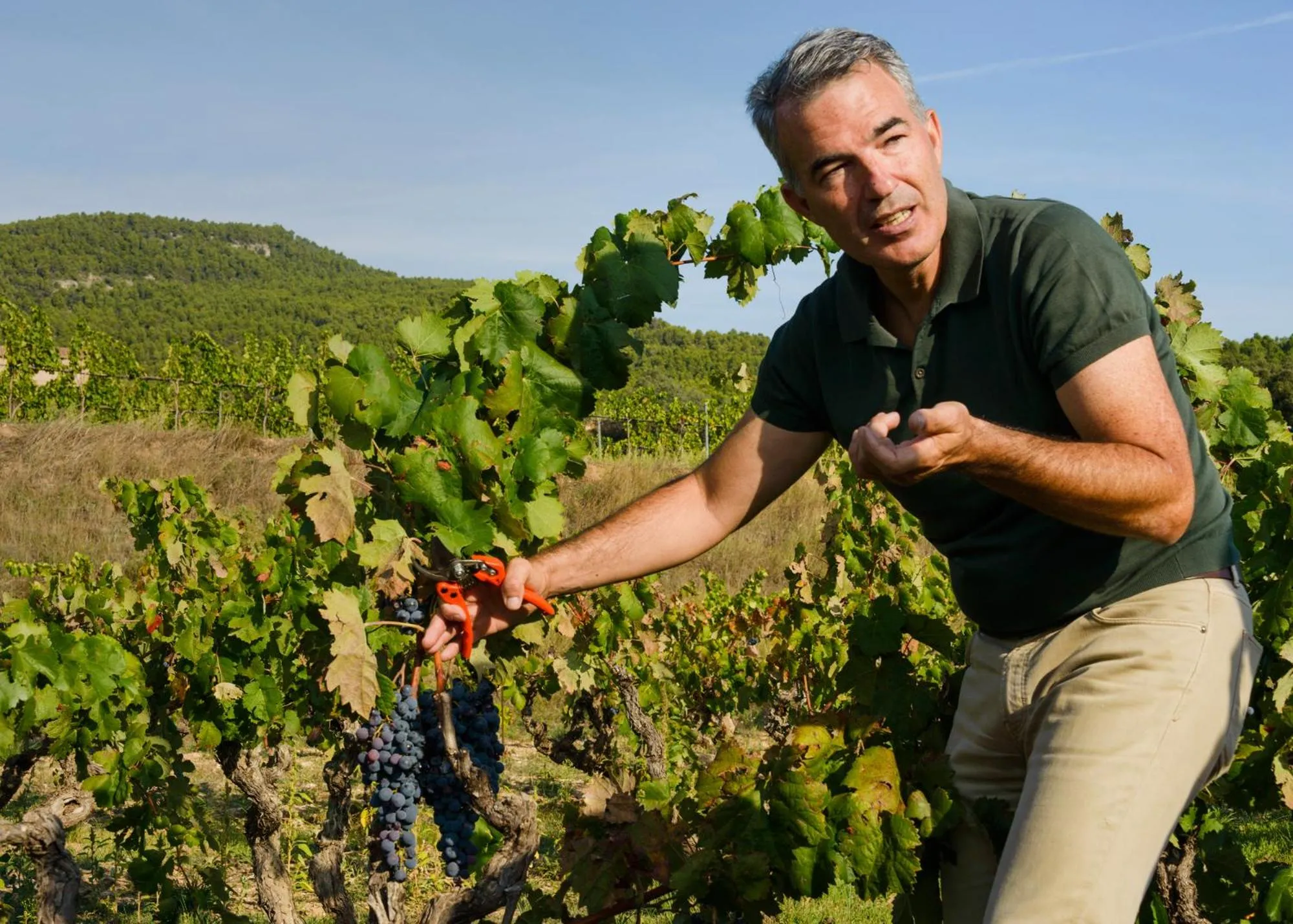 Activities in Torre del Marqués Hotel Spa & Winery - Small Luxury Hotels