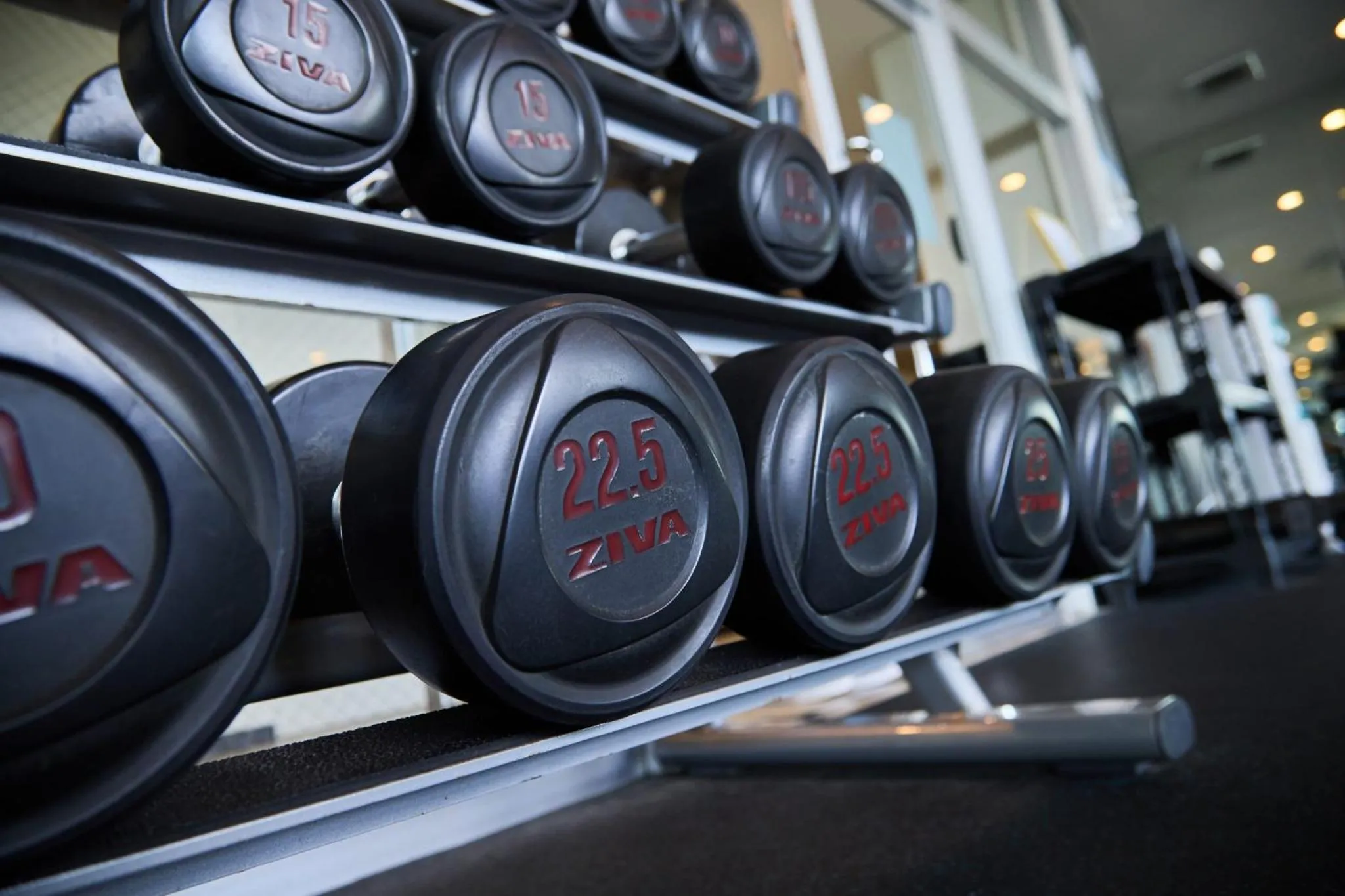 Fitness centre/facilities in ANA Crowne Plaza Resort Okinawa Uruma Hills By IHG