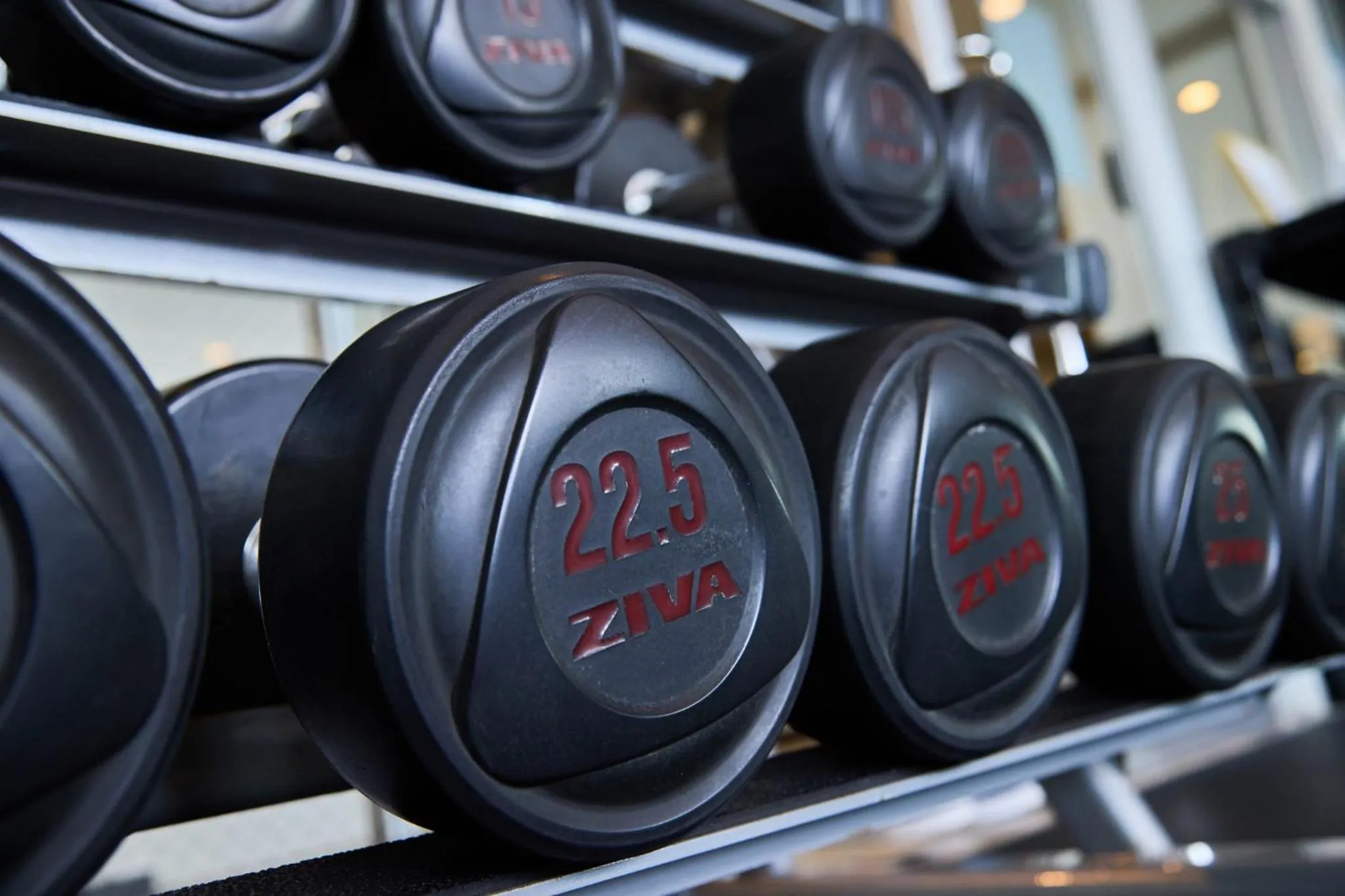 Fitness centre/facilities in ANA Crowne Plaza Resort Okinawa Uruma Hills By IHG