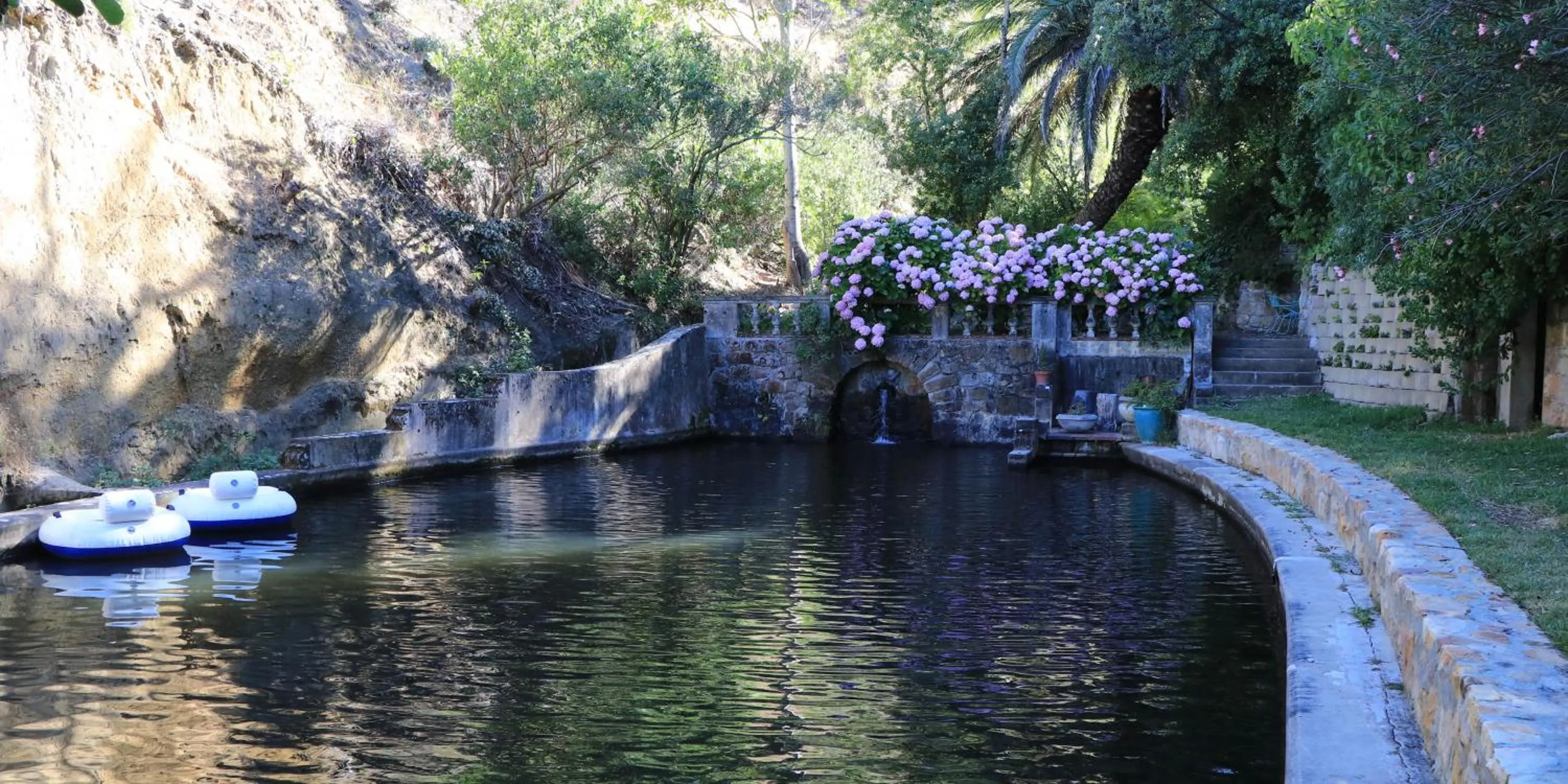 Natural landscape in Camps Bay Forest Pods