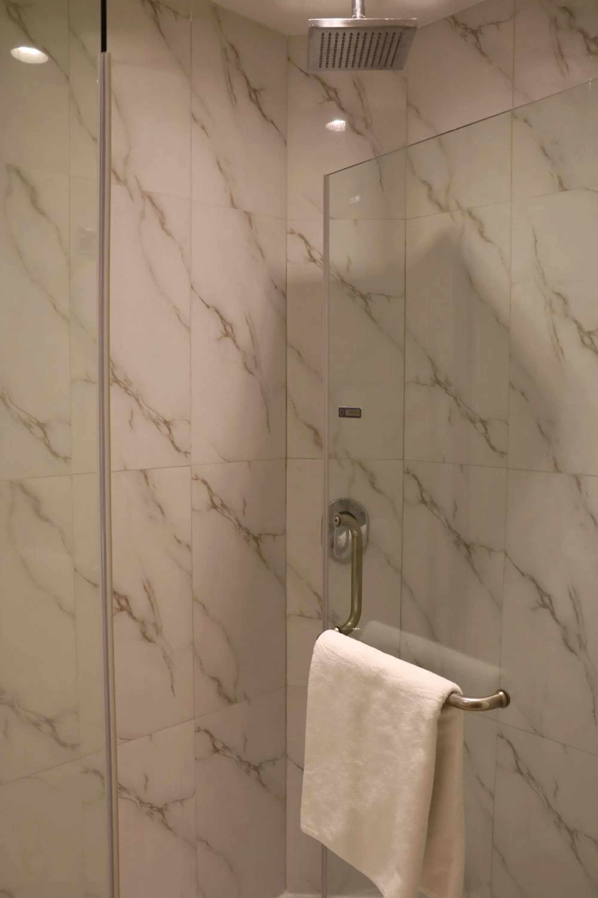 Shower in Hilton MM Grand Hotel Puebla, Tapestry Collection