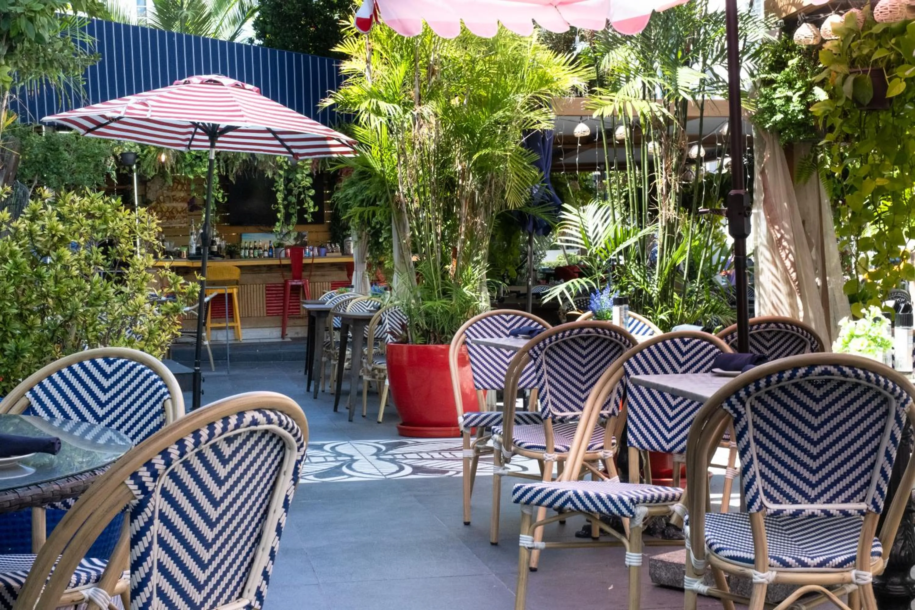 Restaurant/places to eat in Catalina Hotel & Beach Club